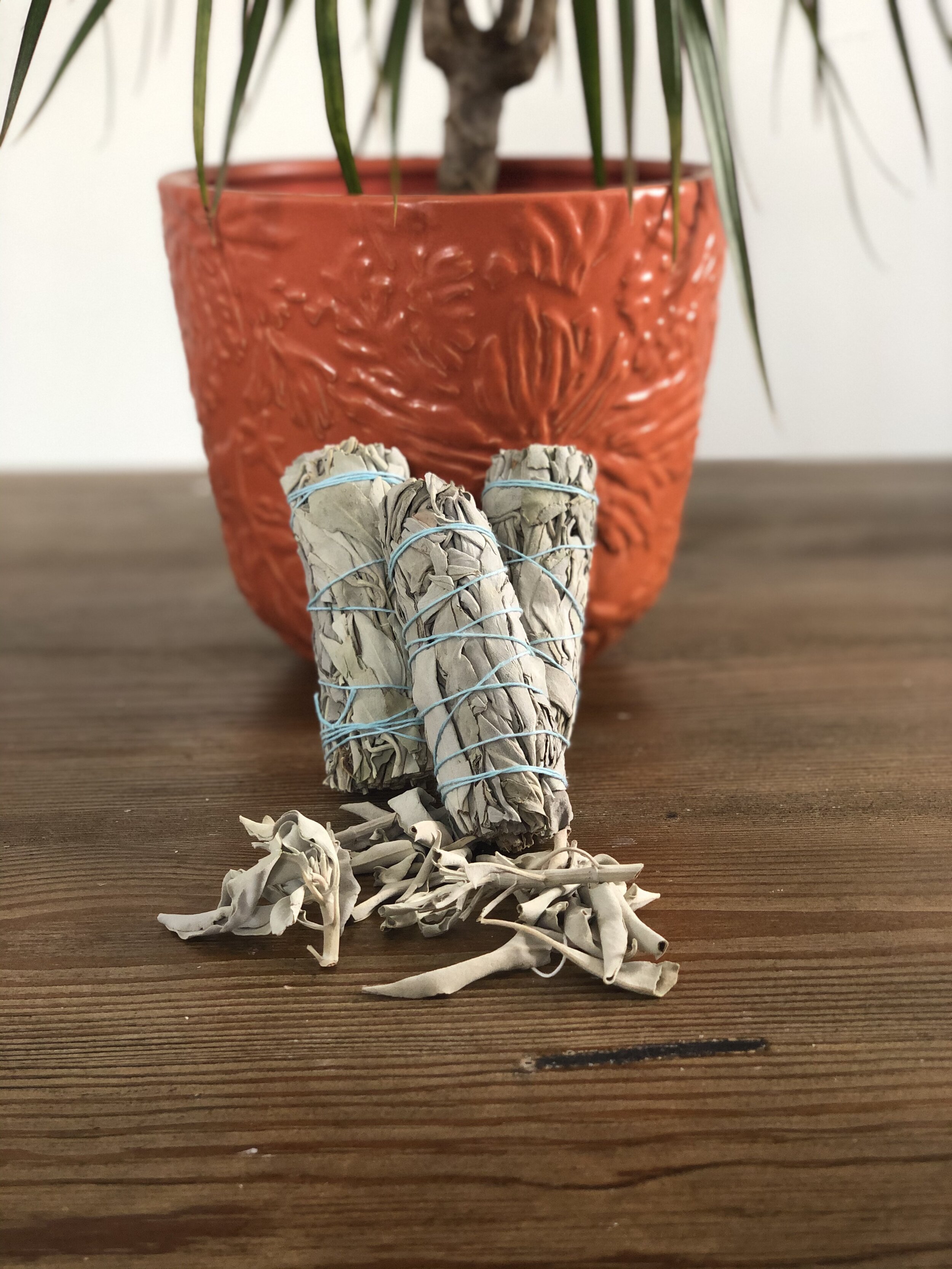 Sage Smudge Sticks