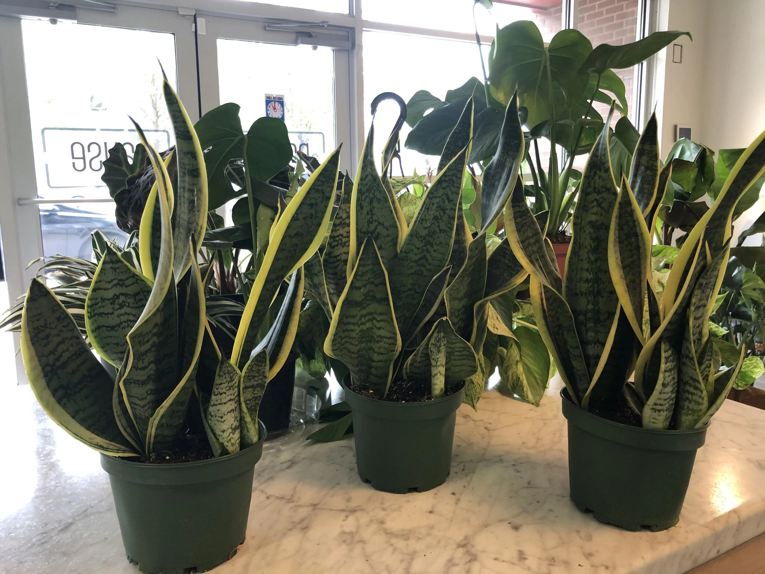 1B1AA26A-96E1-46EC-997B-EA2BFB1B1AB2