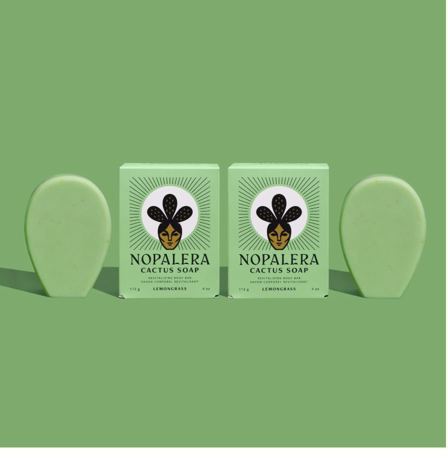 2-Pack Lemongrass Cactus Soap