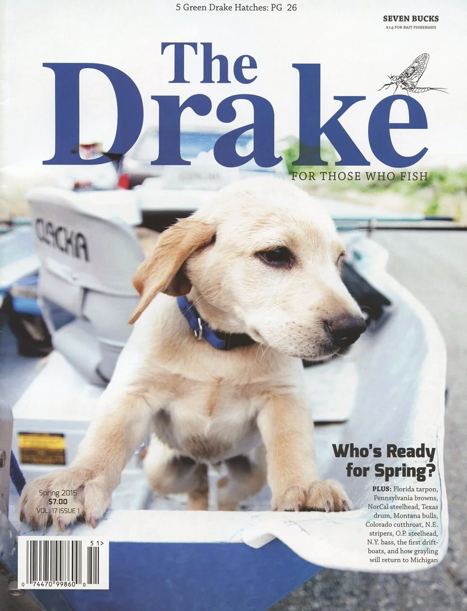 cover.jpeg
