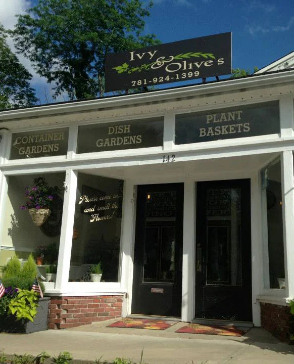 ivyandolives storefront.jpg