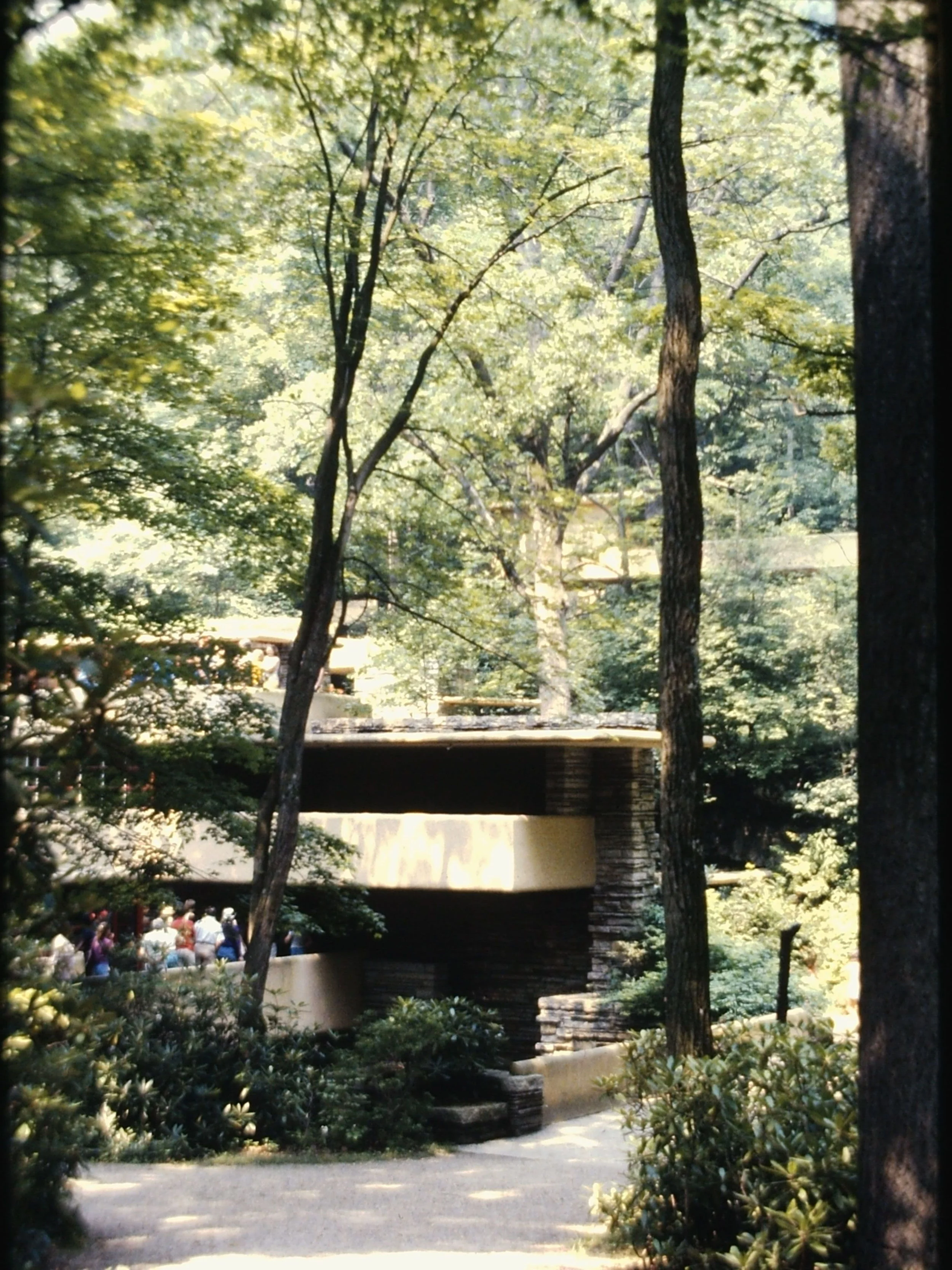 PICT0036.JPG