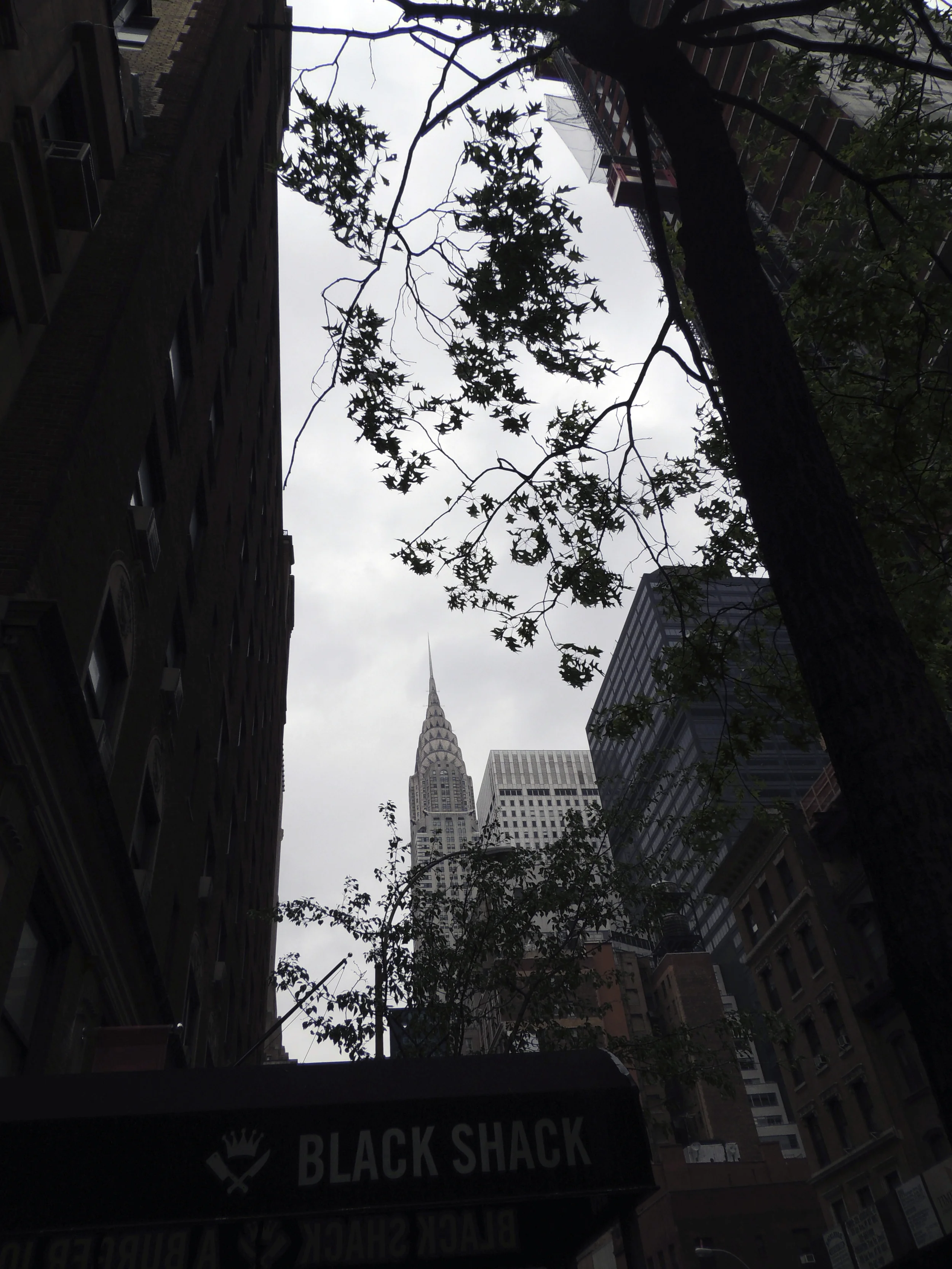 DSCN5210.jpg