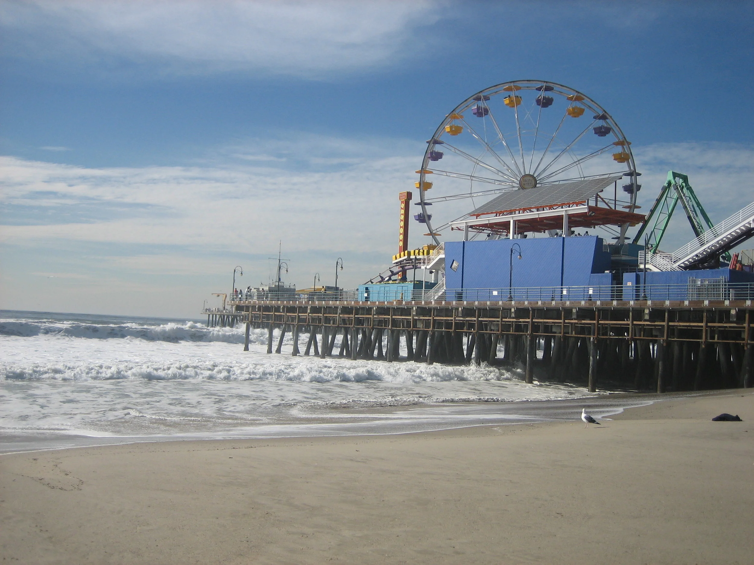 IMG_8946.JPG