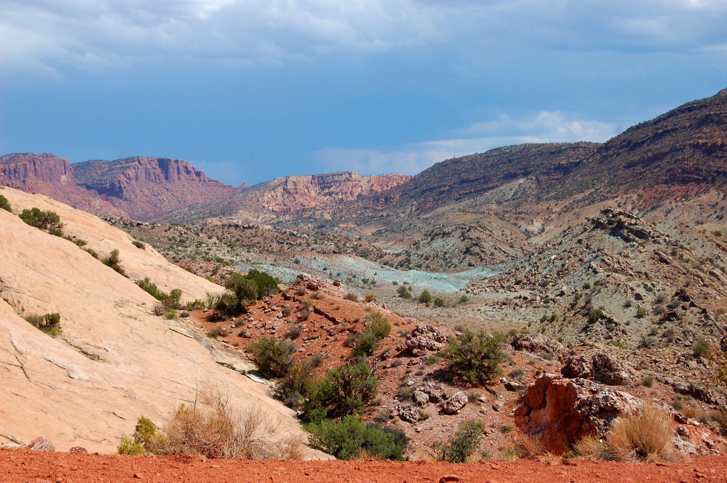DSC_0019_2.jpg