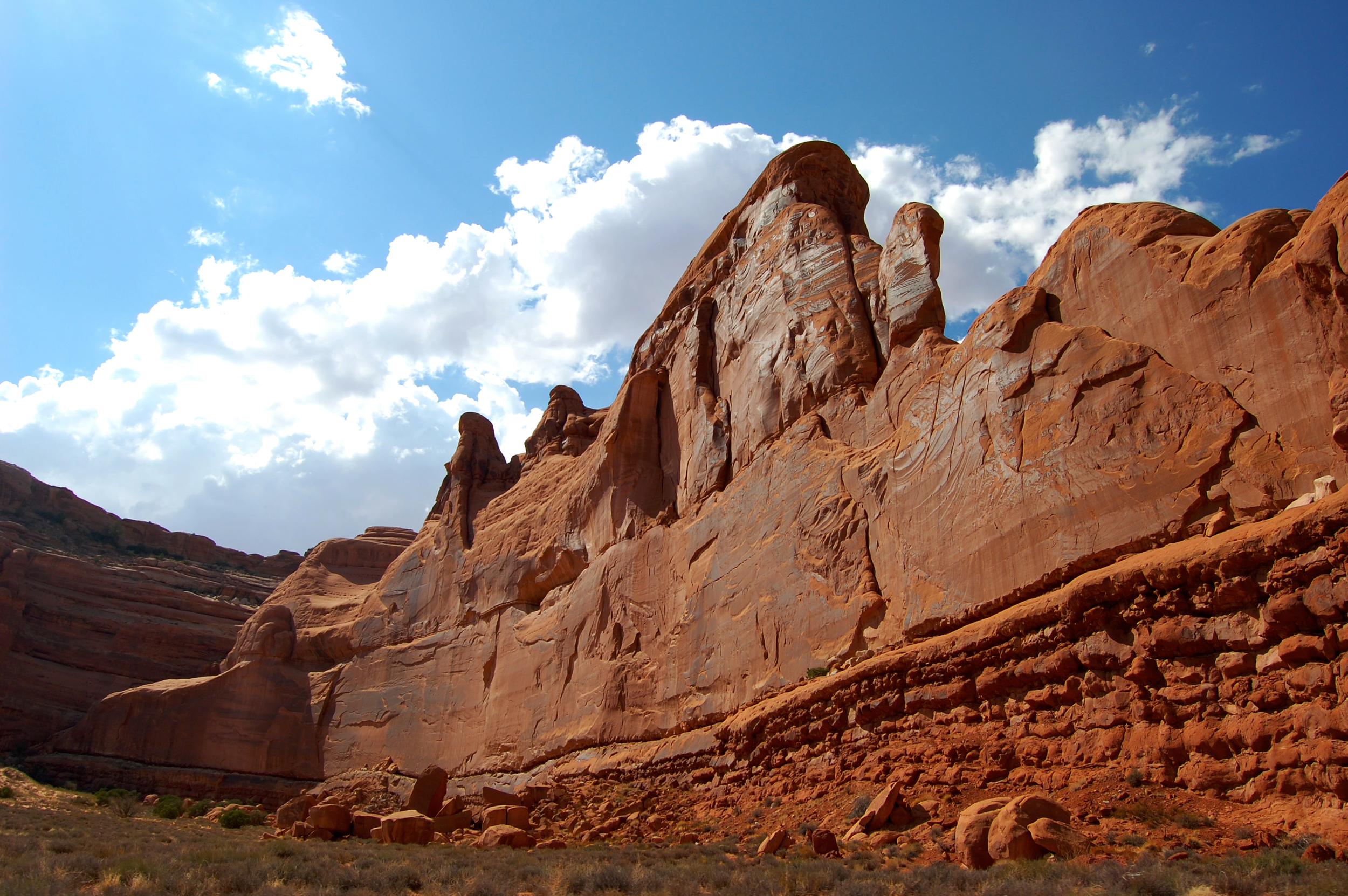 DSC_0118_2.jpg