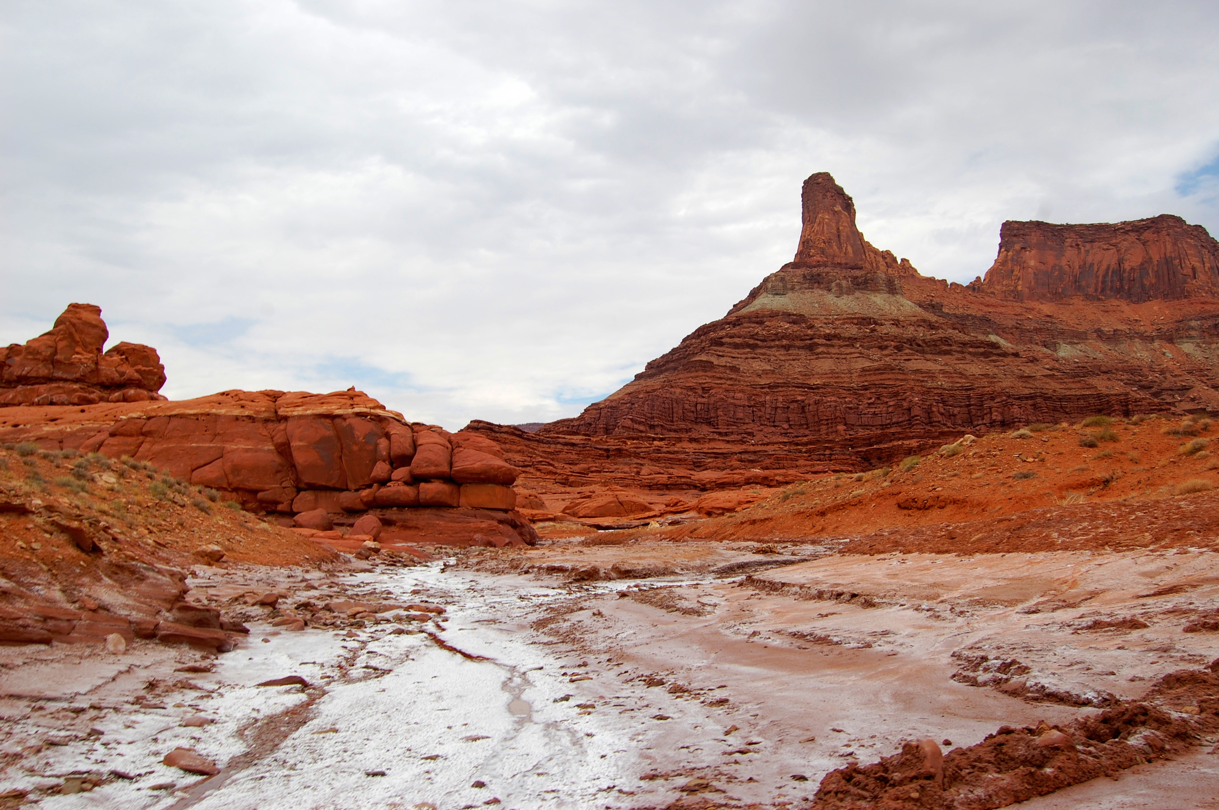 DSC_0136.jpg