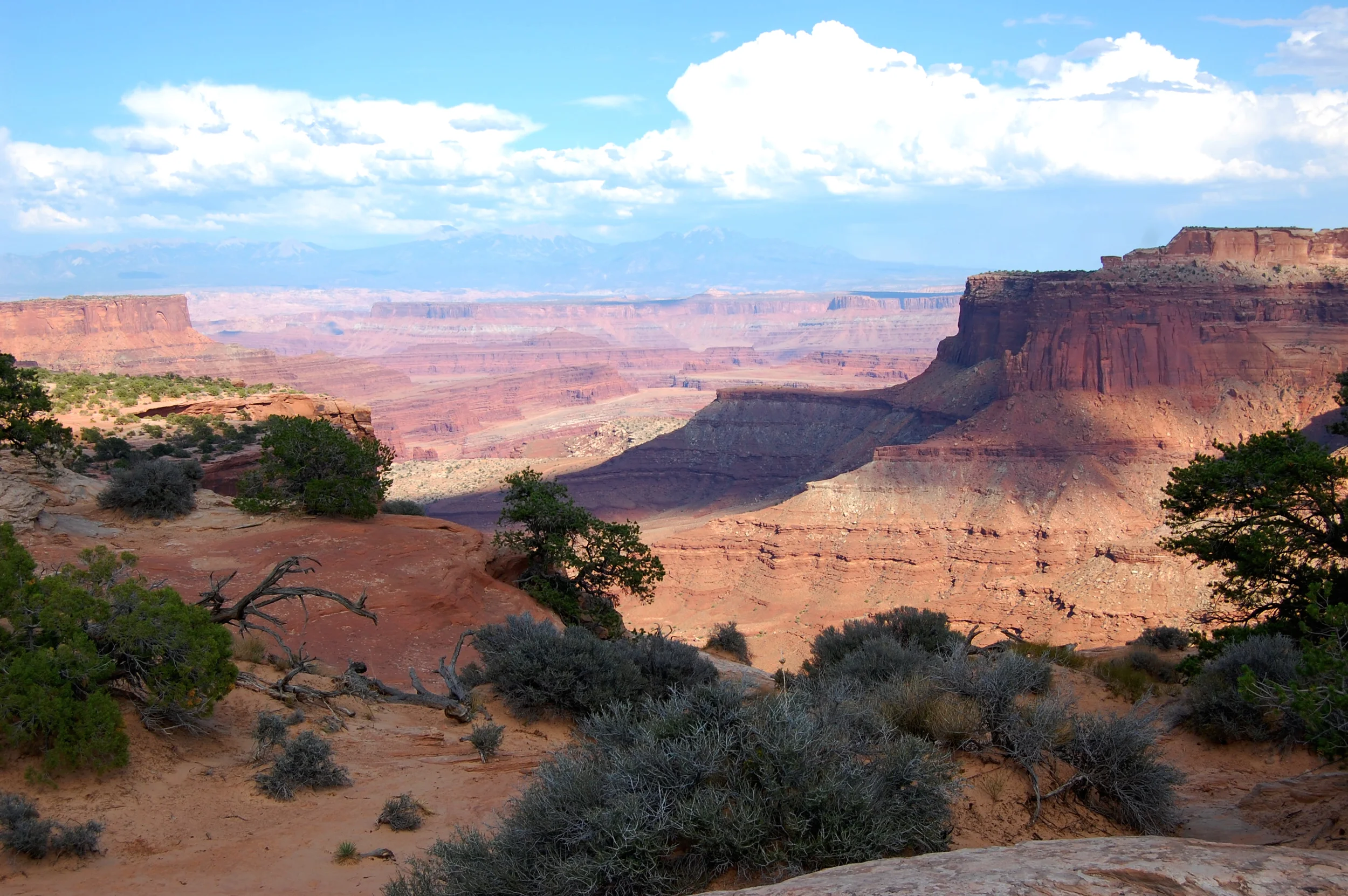 DSC_0165_2.jpg