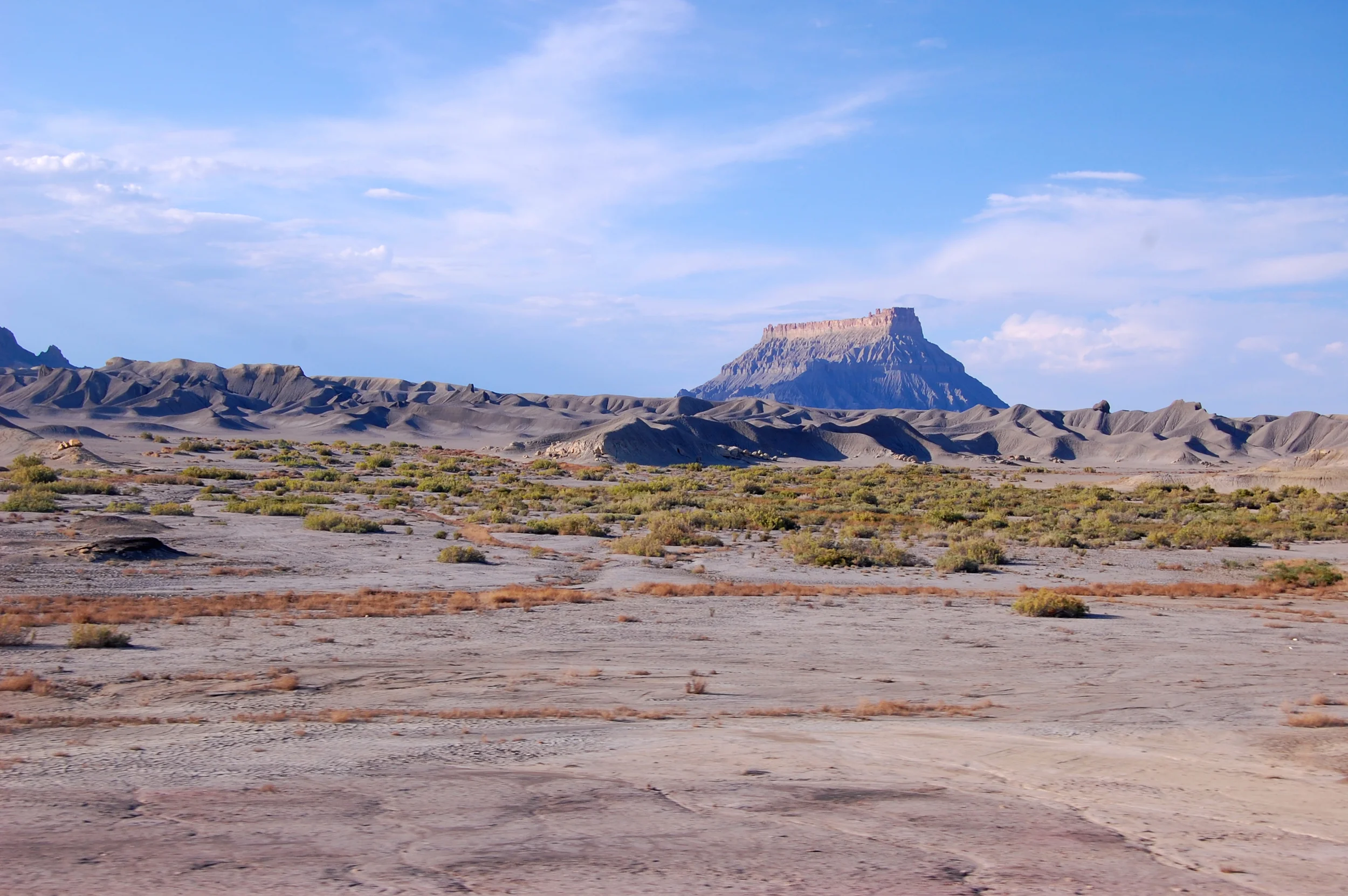 DSC_0603.jpg