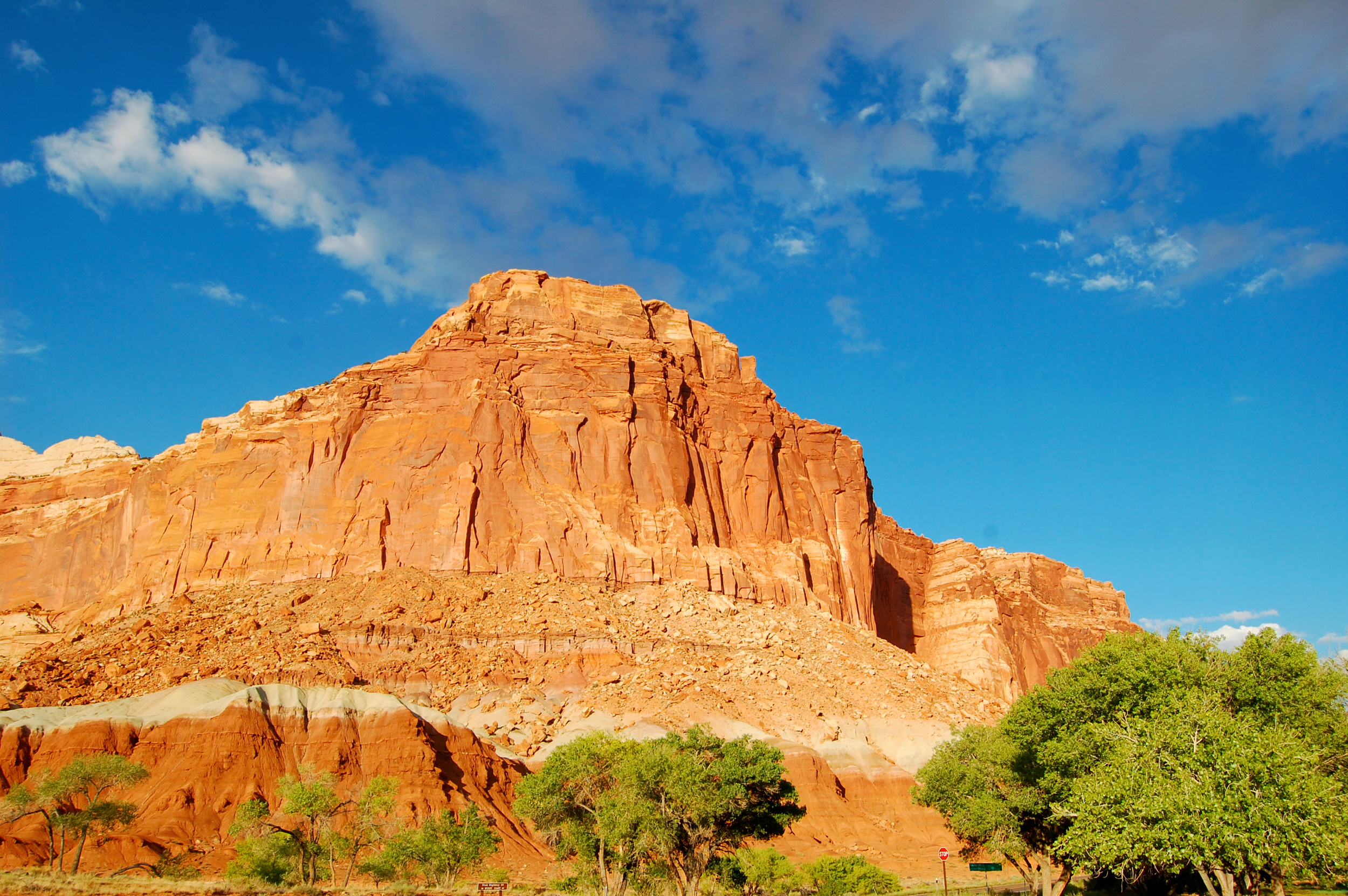DSC_0680.jpg