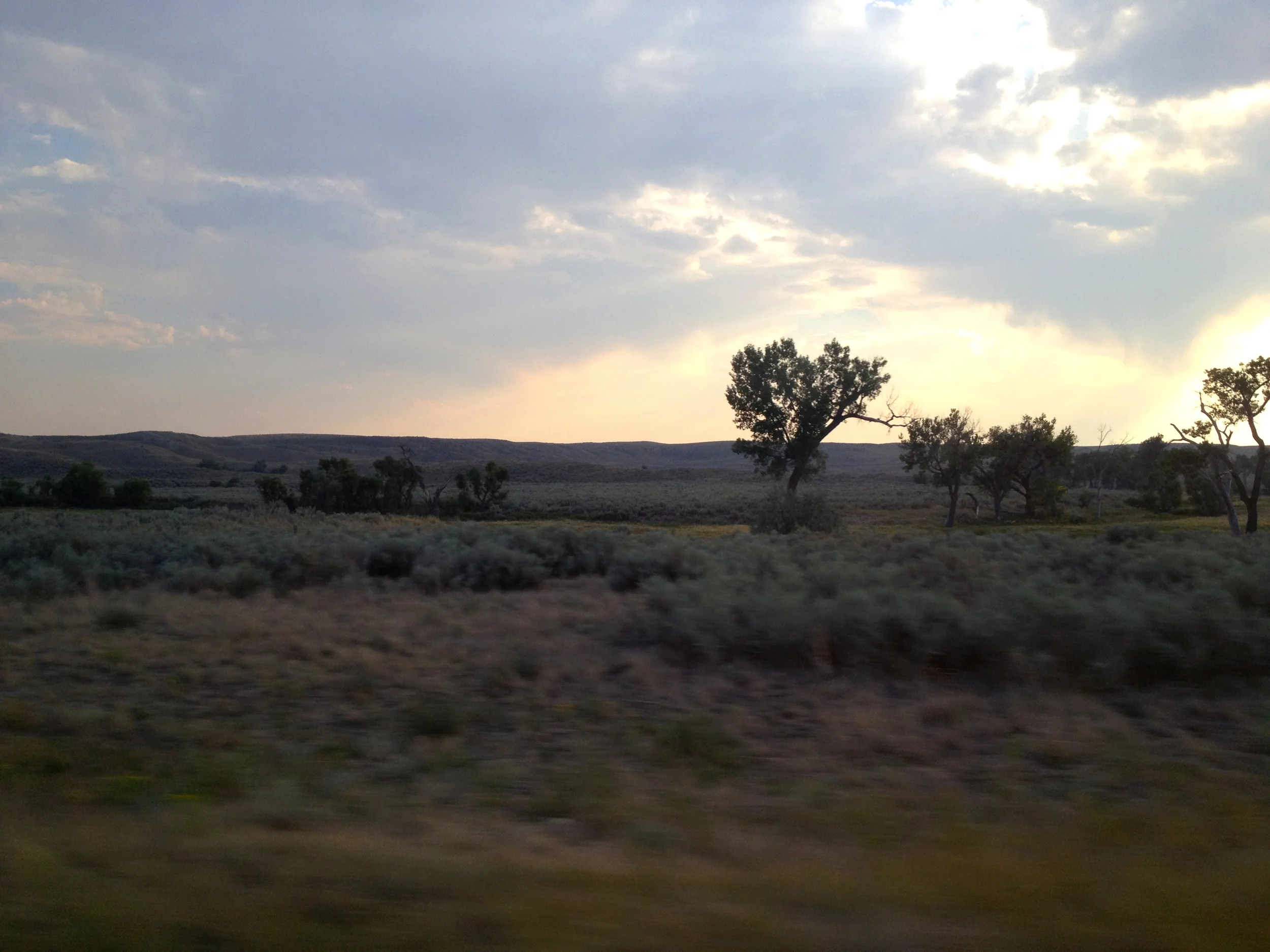 IMG_0370.jpg