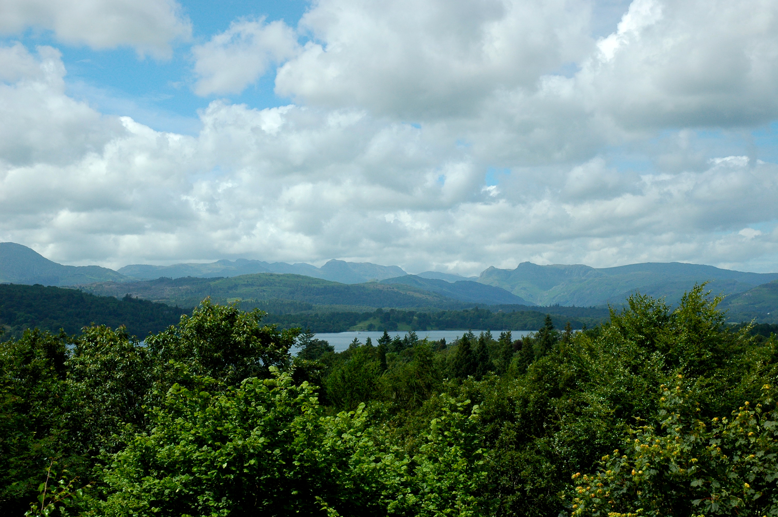 DSC_0008.jpg