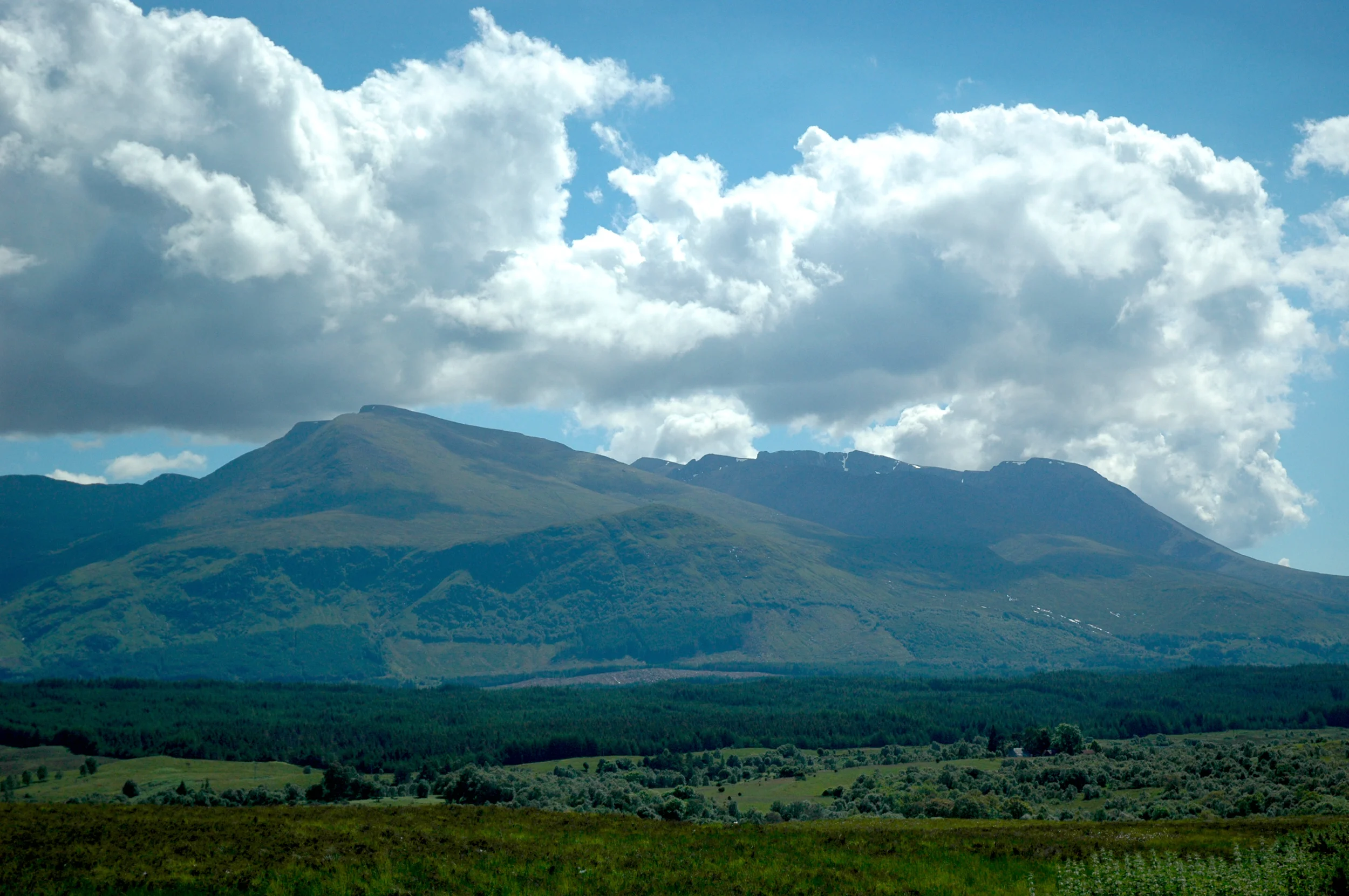 DSC_0566.jpg
