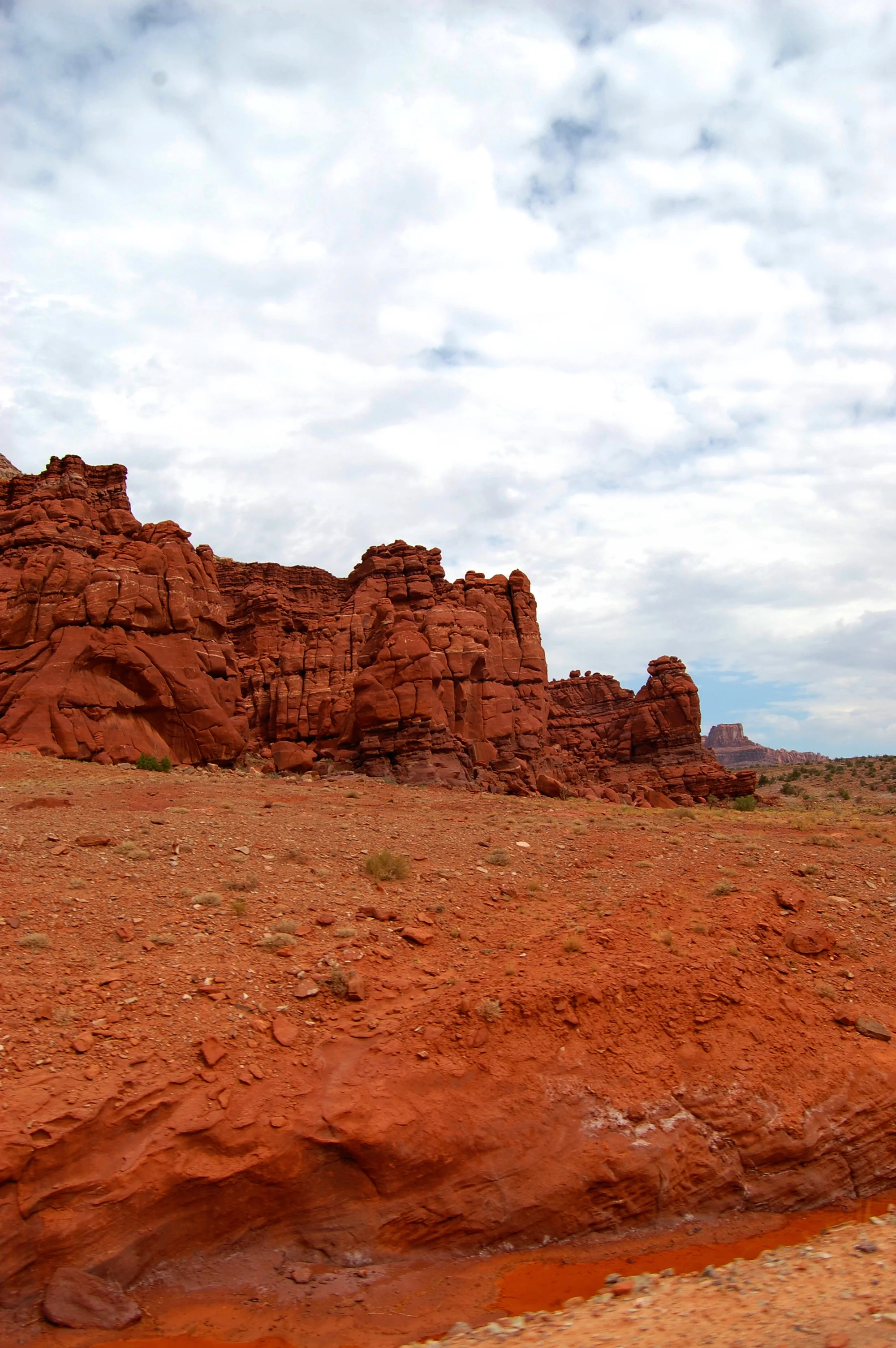 DSC_0103.jpg