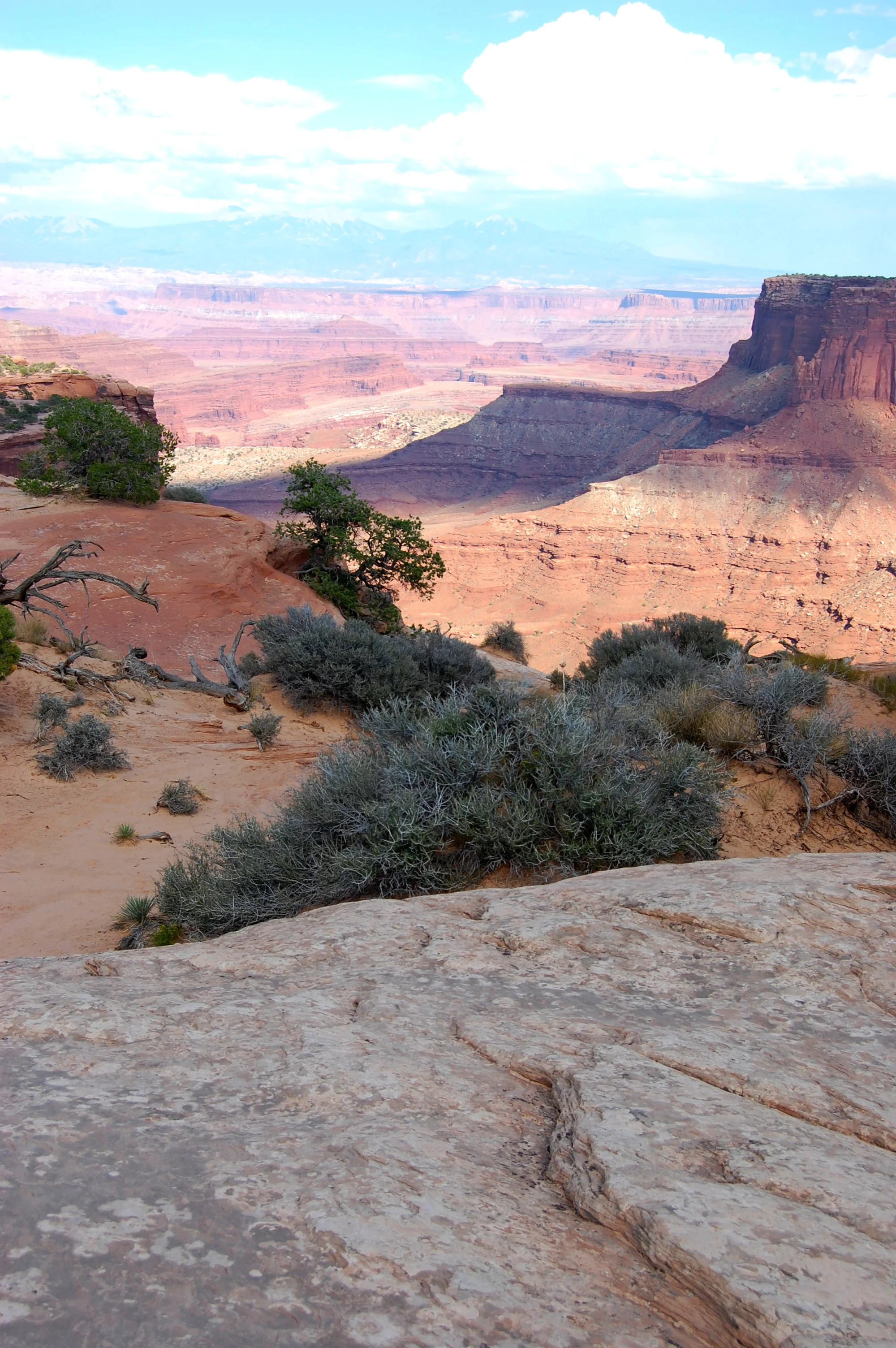 DSC_0166_2.jpg