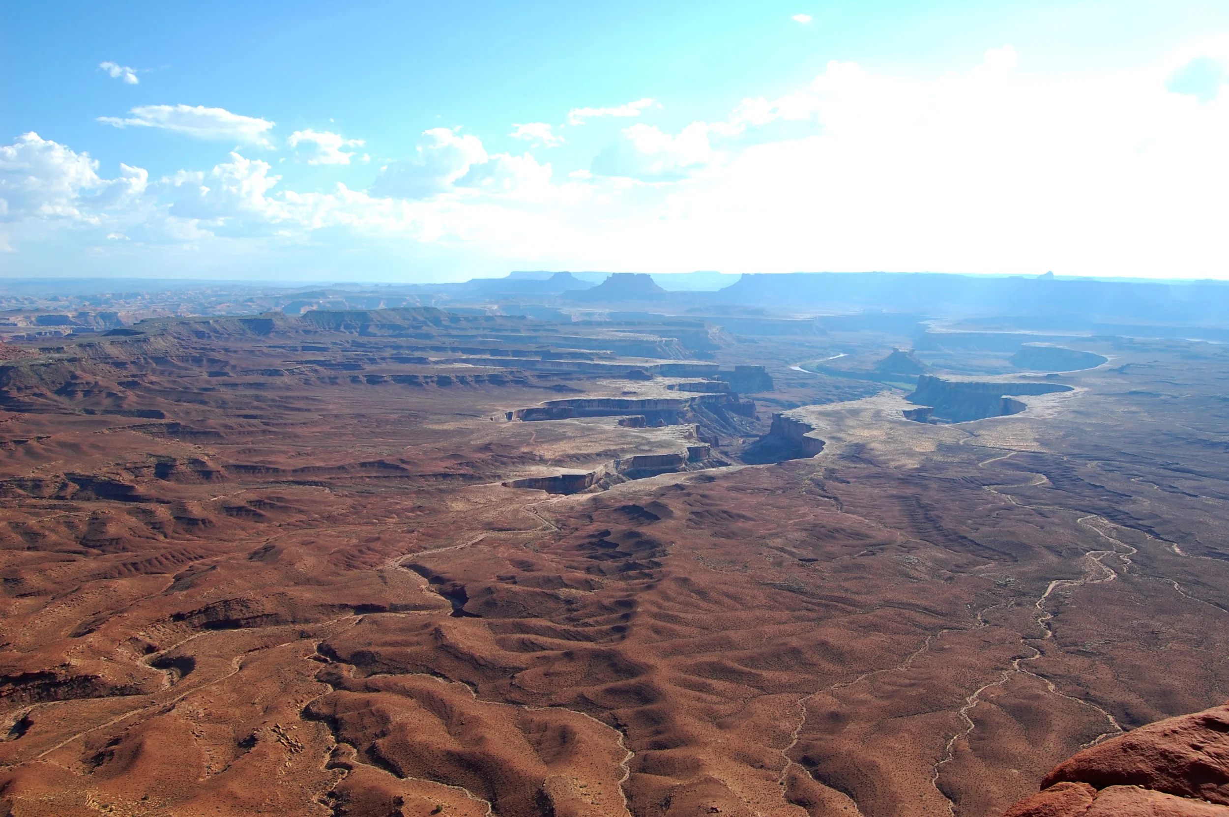 DSC_0194_2.jpg