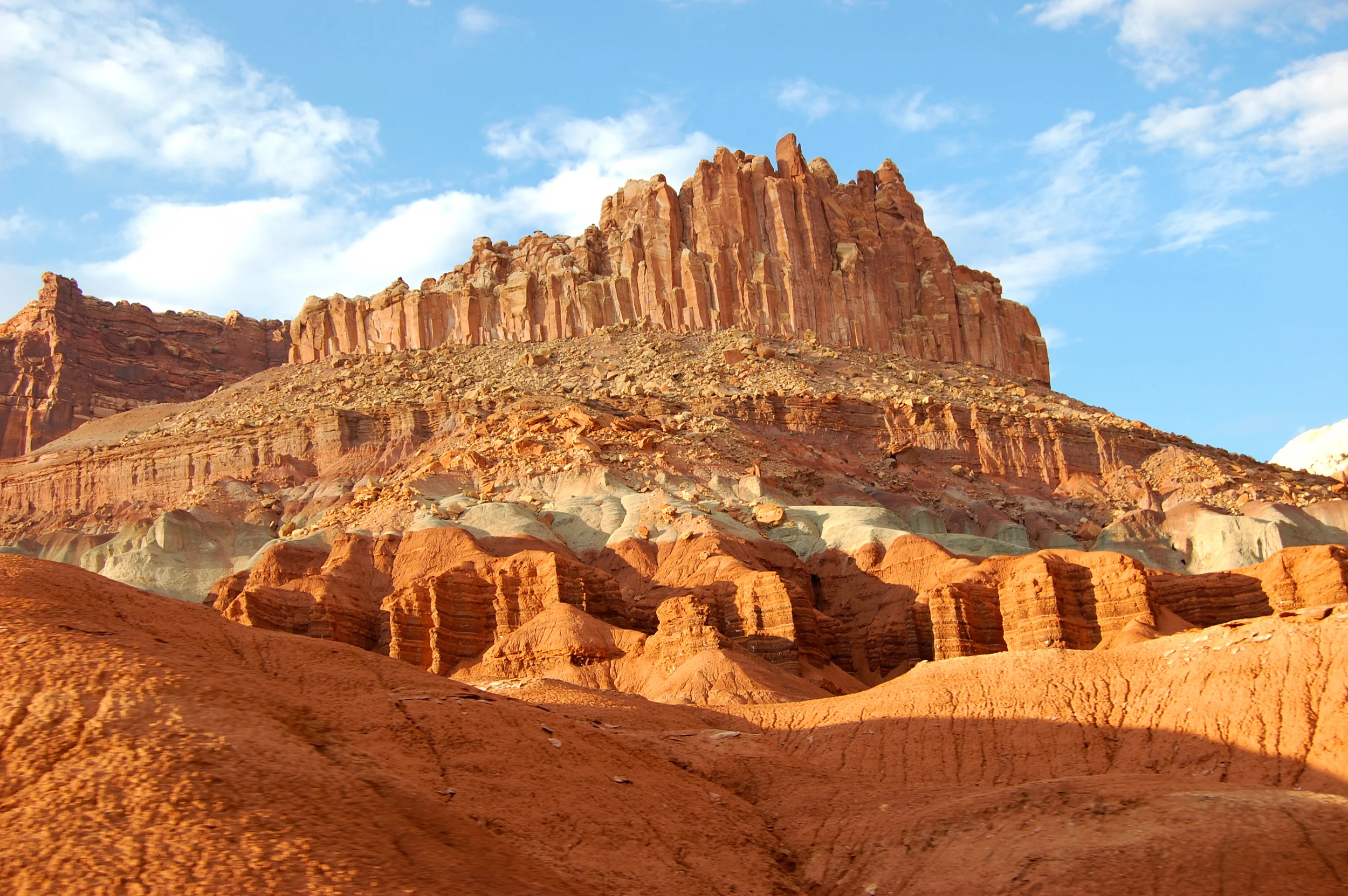 DSC_0684.jpg