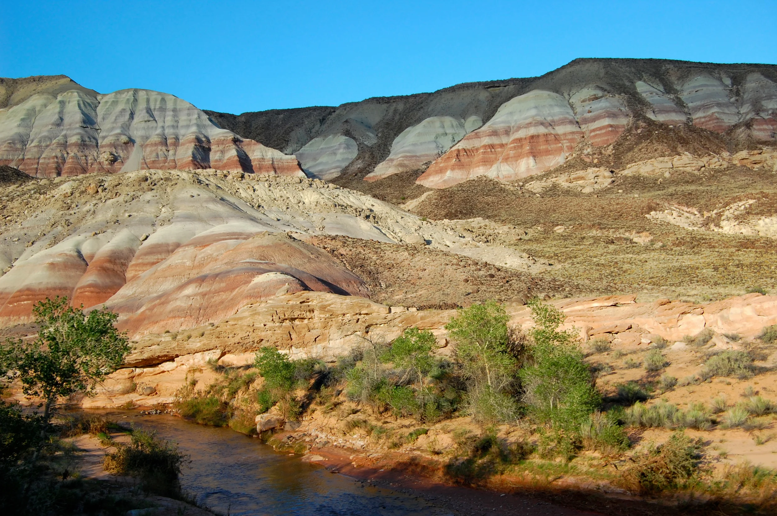 DSC_0632.jpg