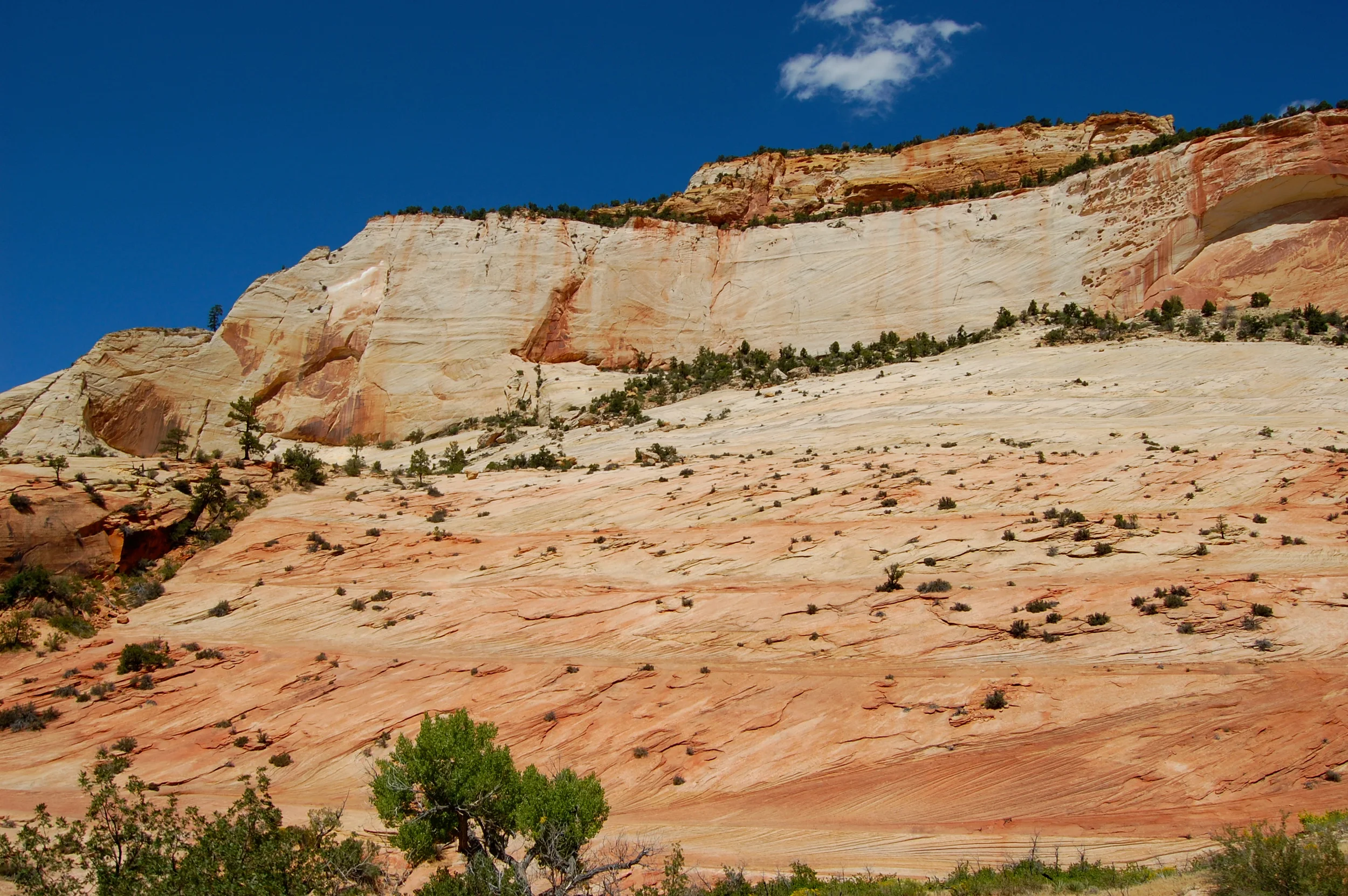 DSC_0786.jpg