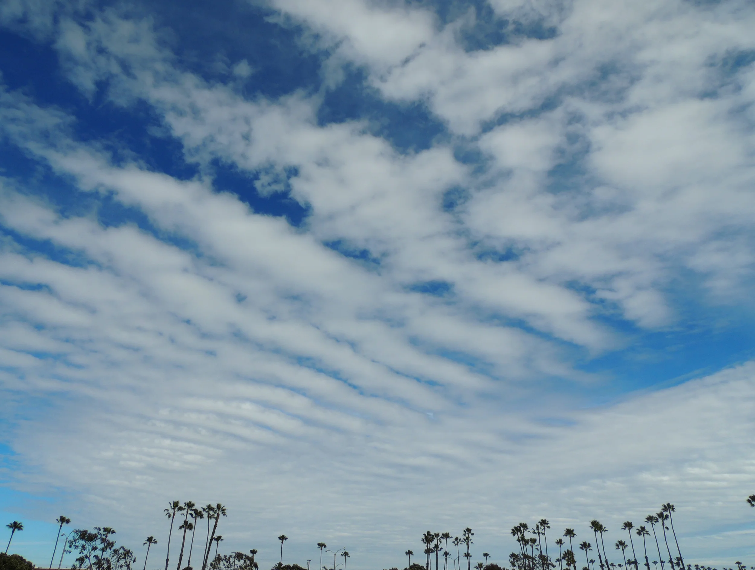 DSCN3343.jpg