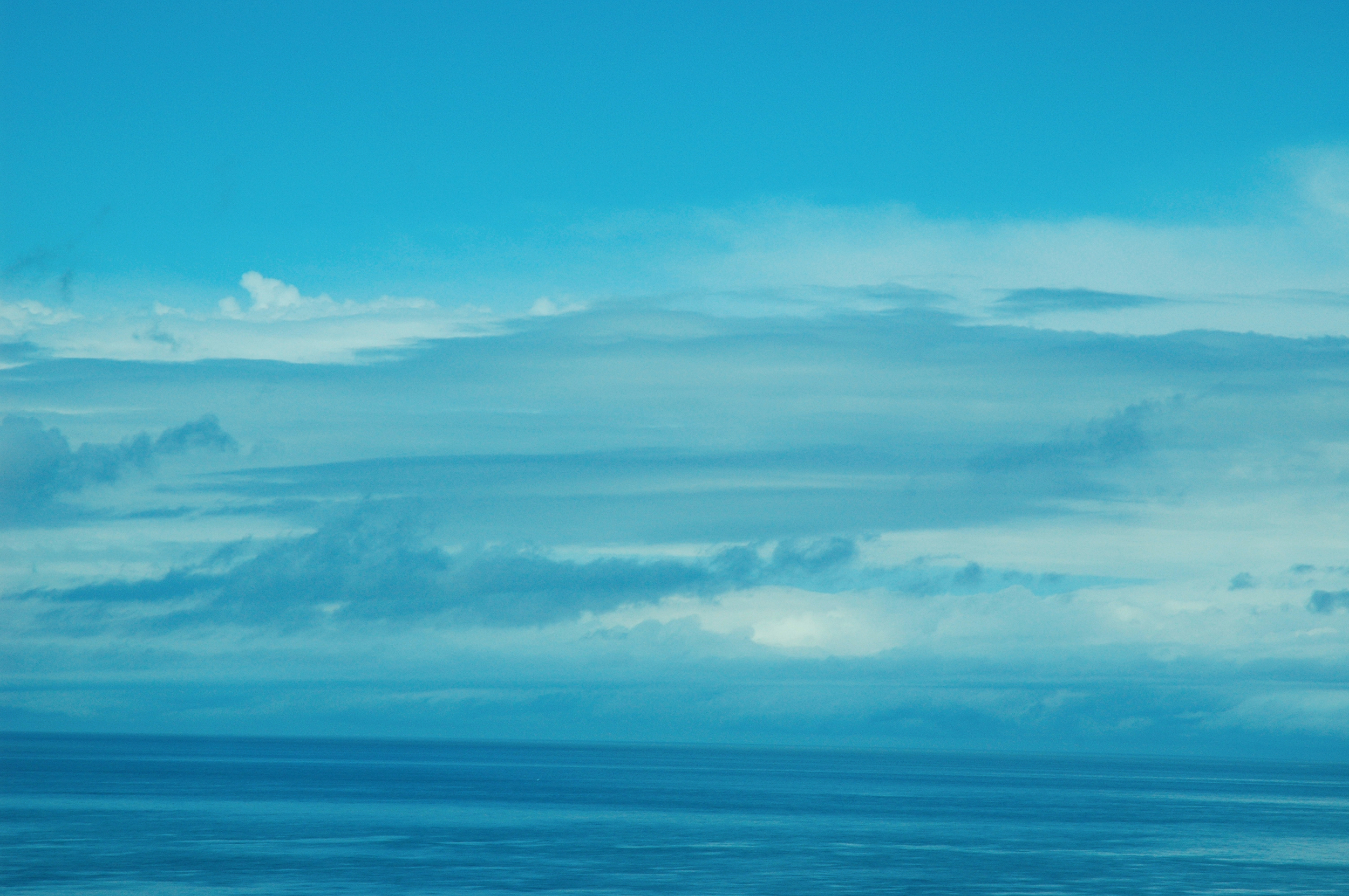 DSC_0155.jpg