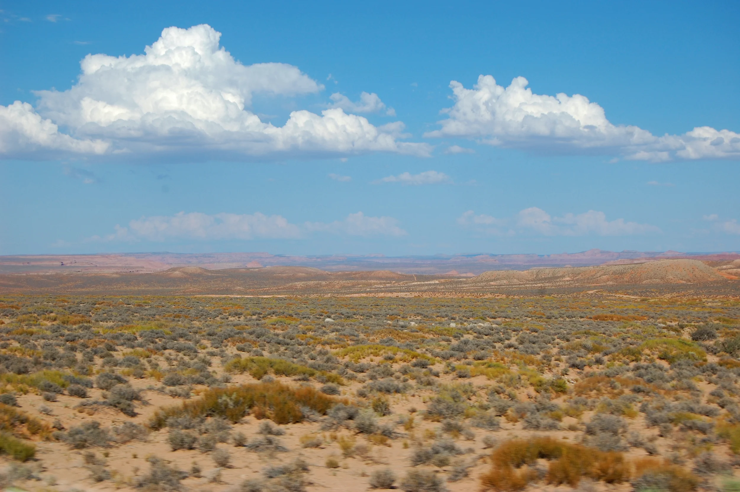 DSC_0579.jpg