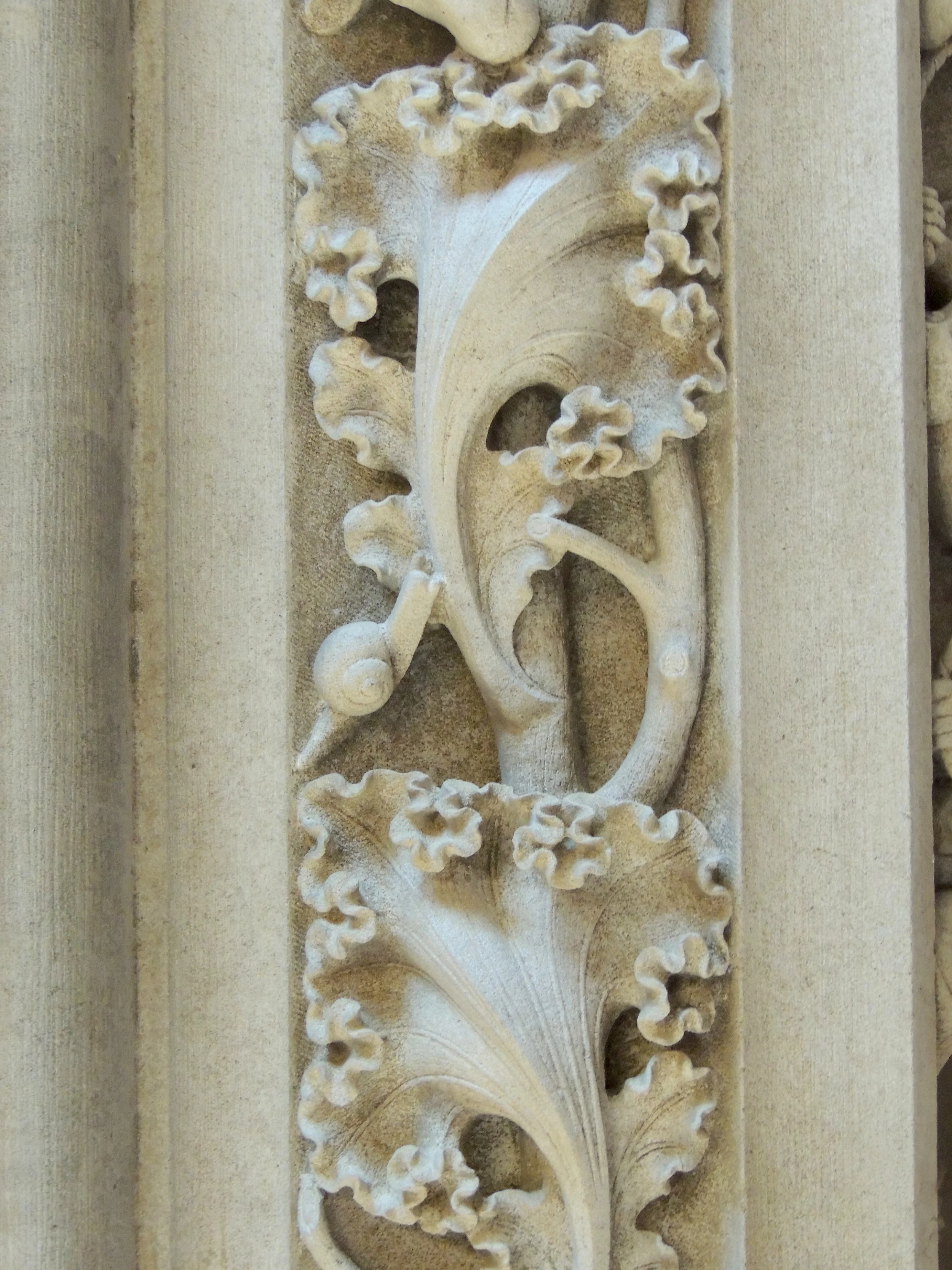 DSCN1627.jpg