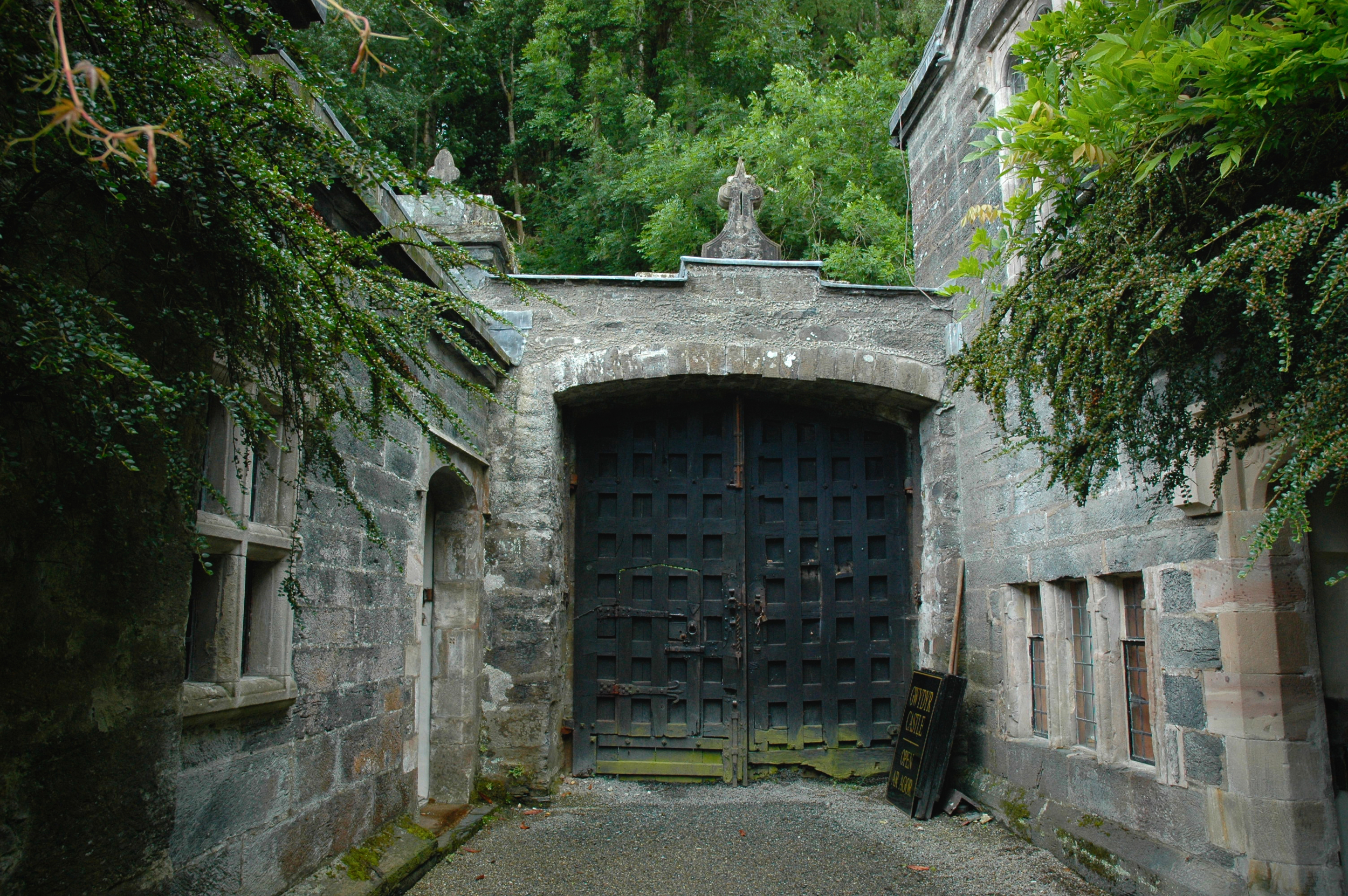 DSC_0169.jpg