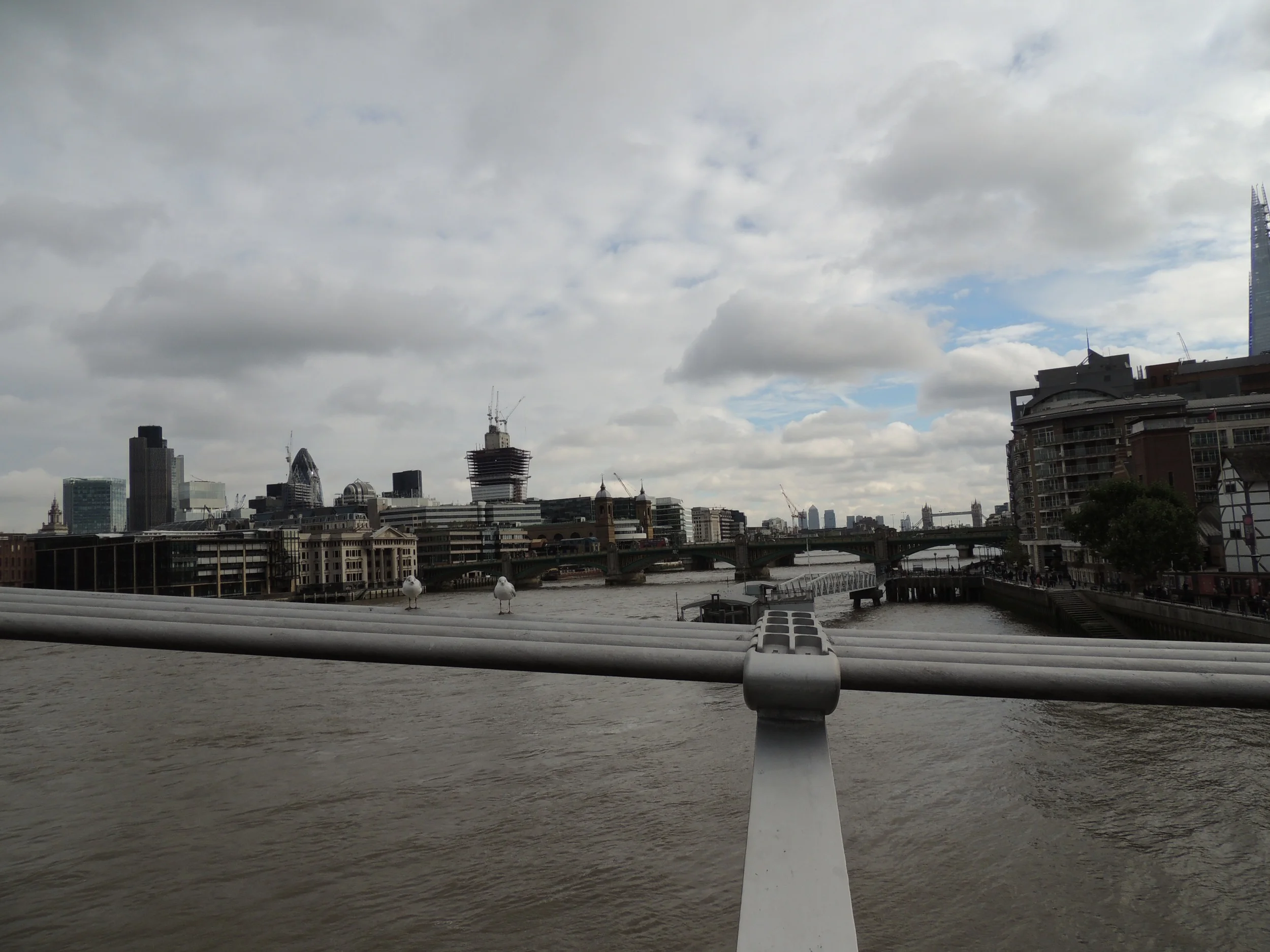 DSCN0159.jpg