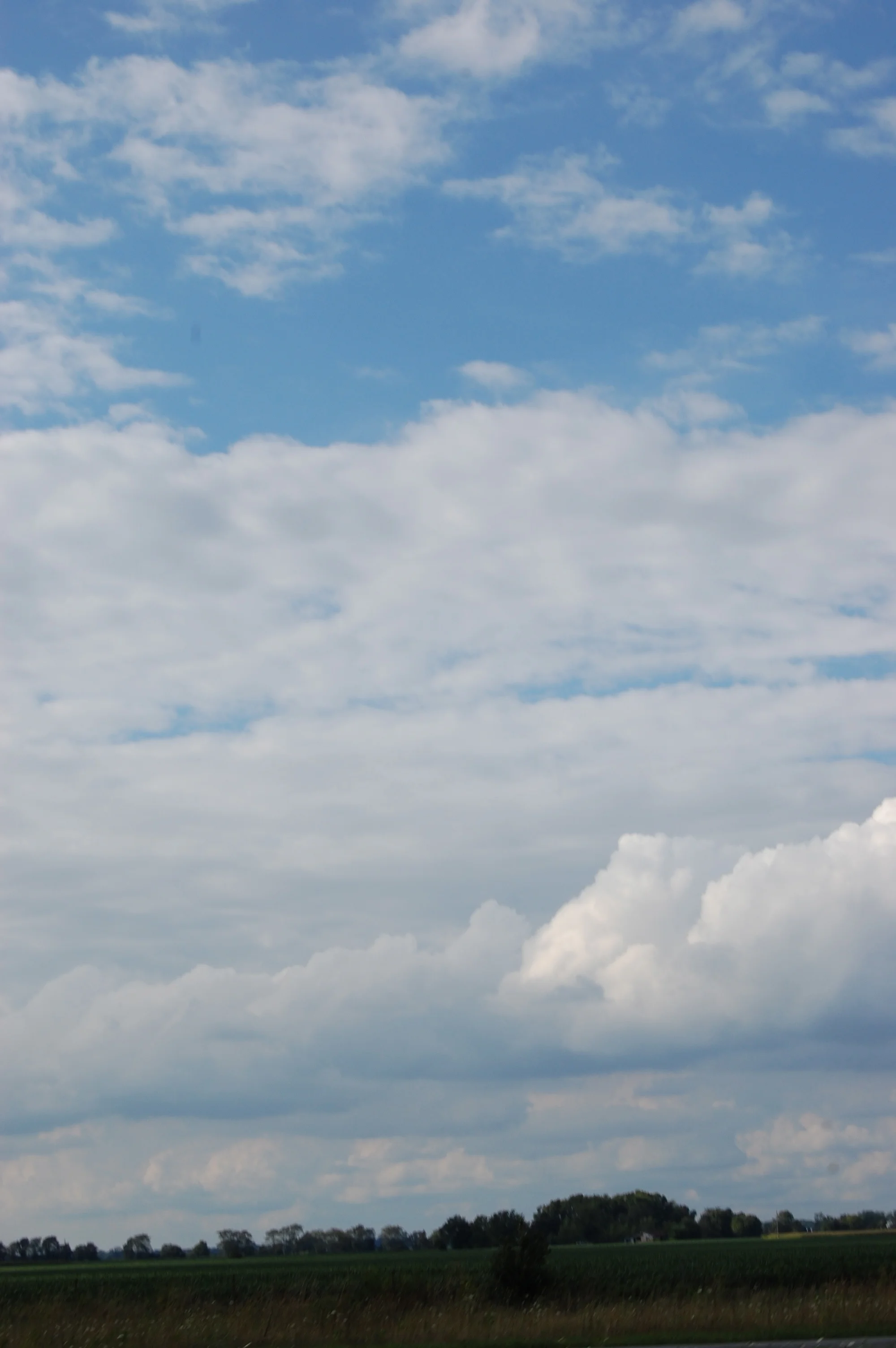 DSC_0356.jpg