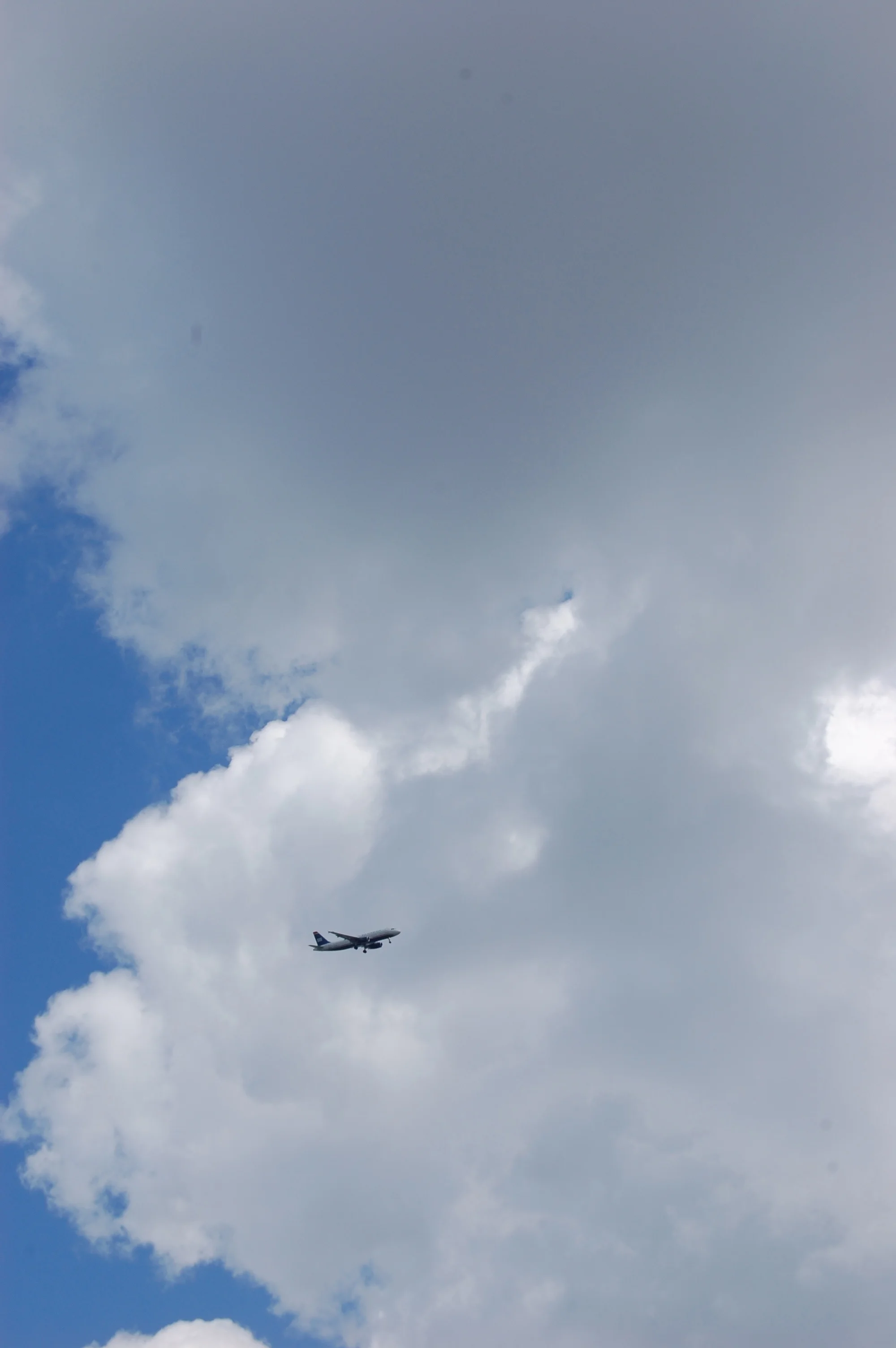 DSC_0555.jpg