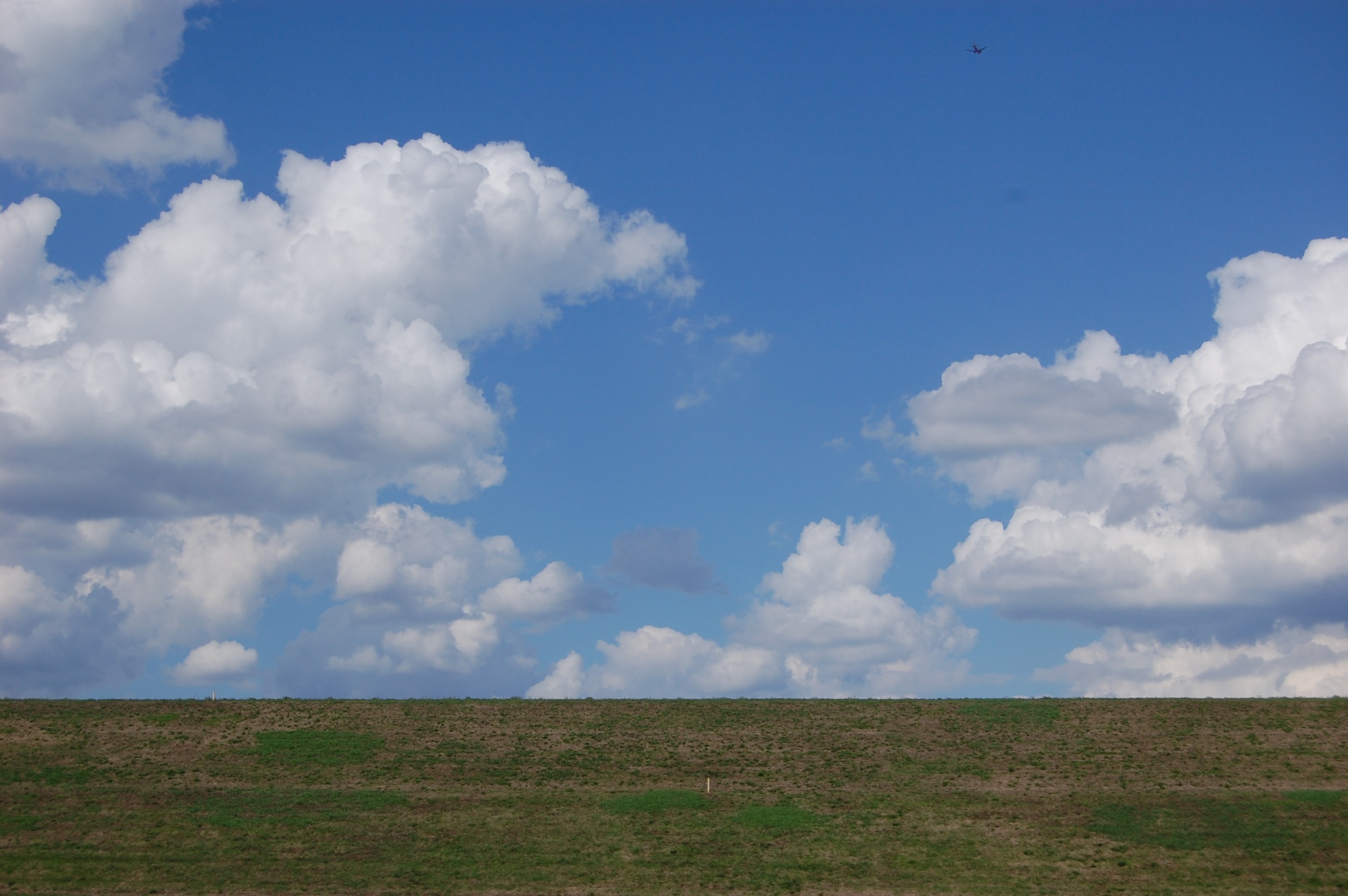 DSC_0566.jpg