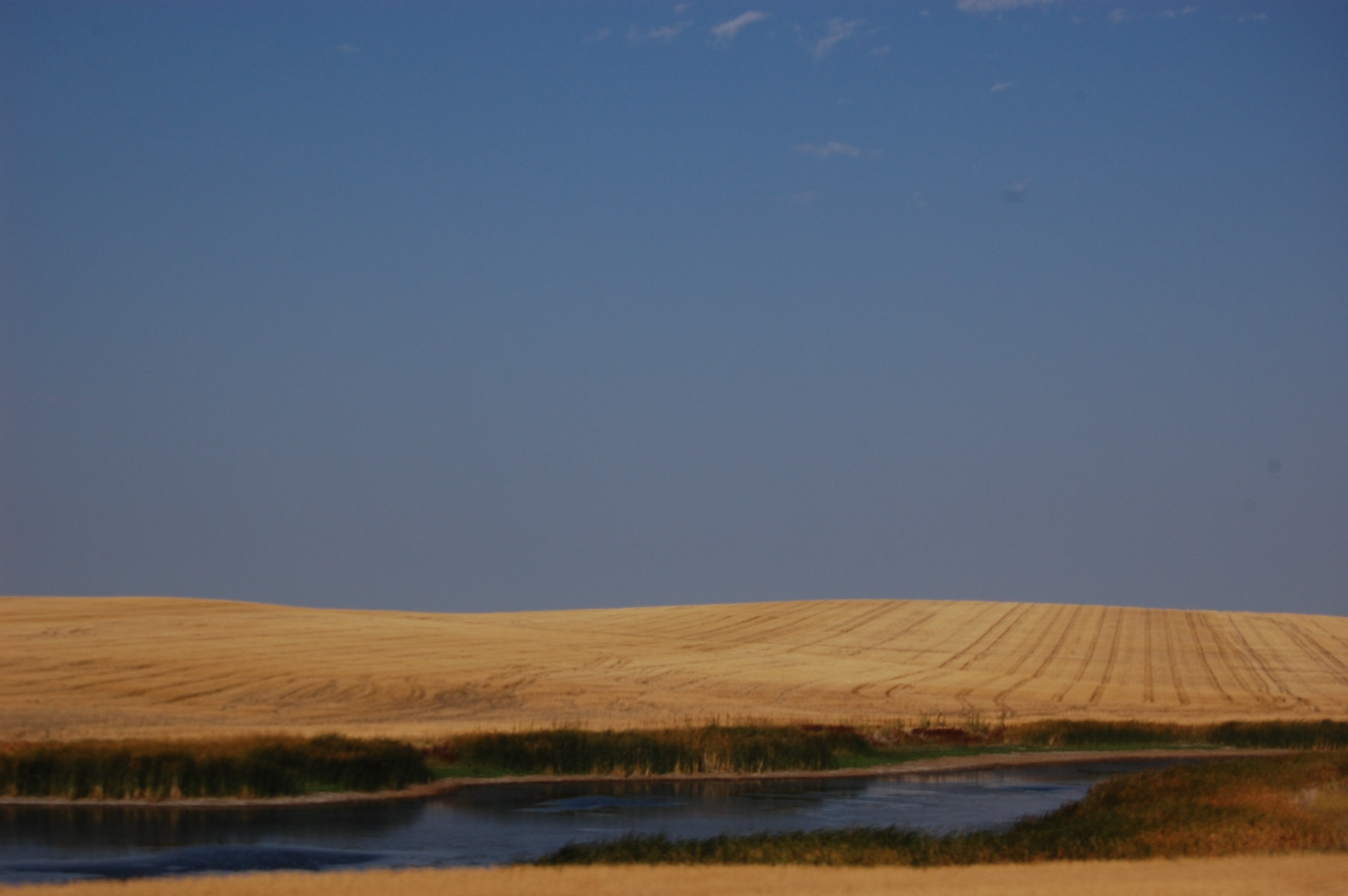 DSC_0905.jpg