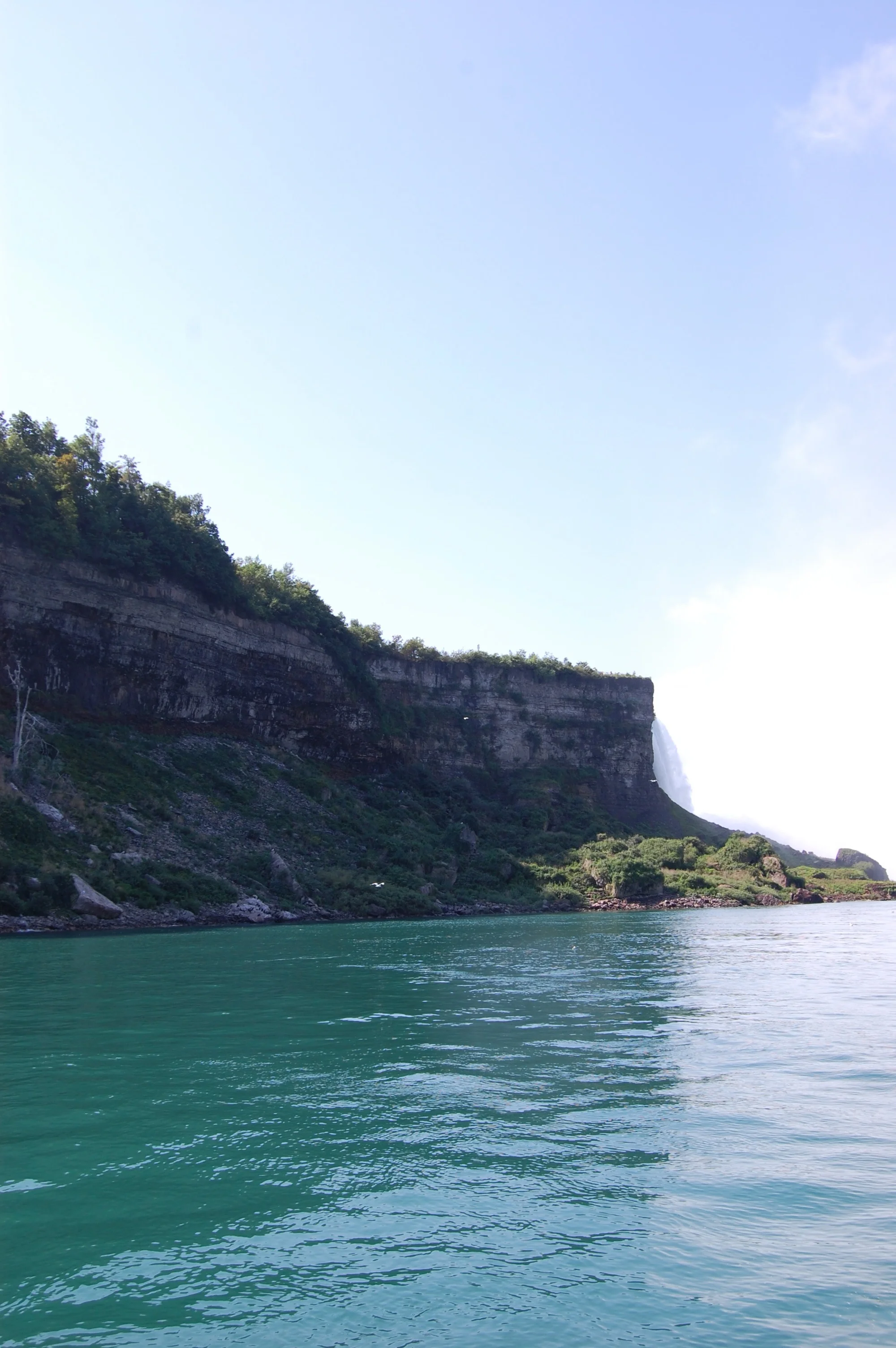 DSC_0398.jpg