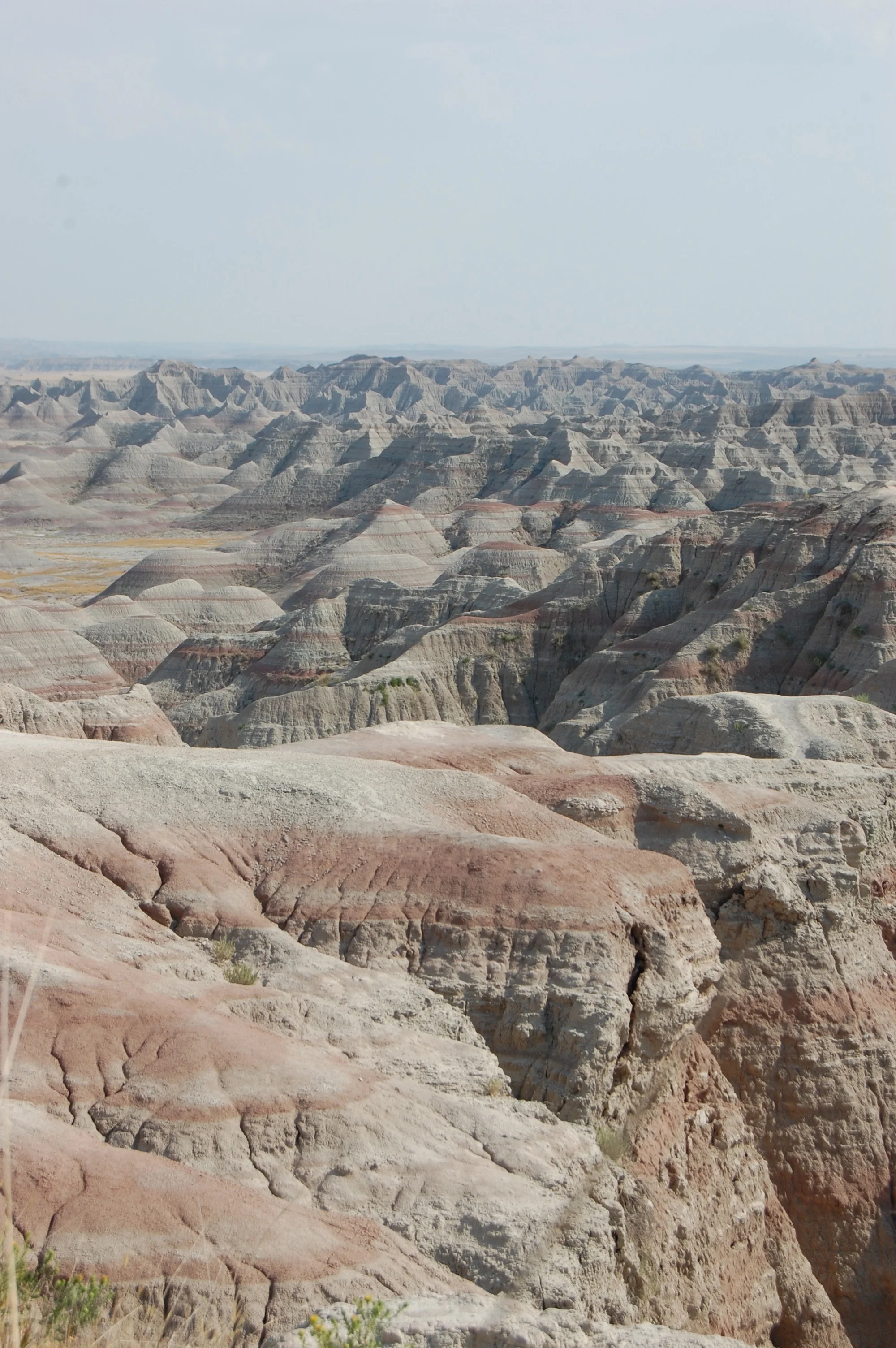 DSC_0860.jpg