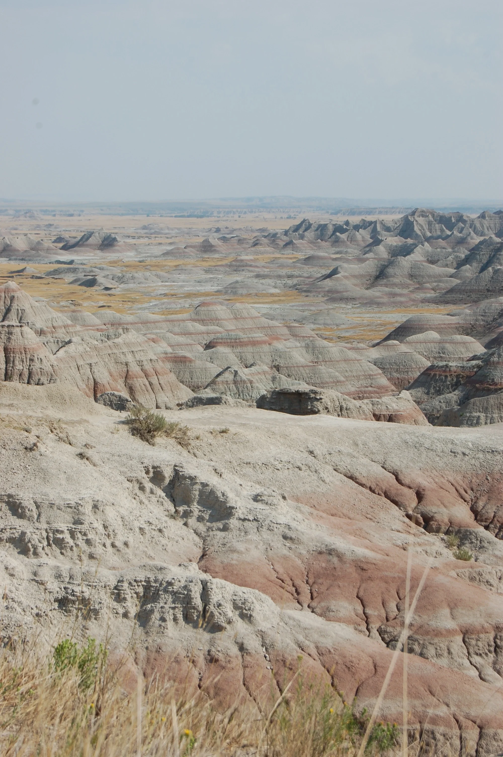DSC_0861.jpg