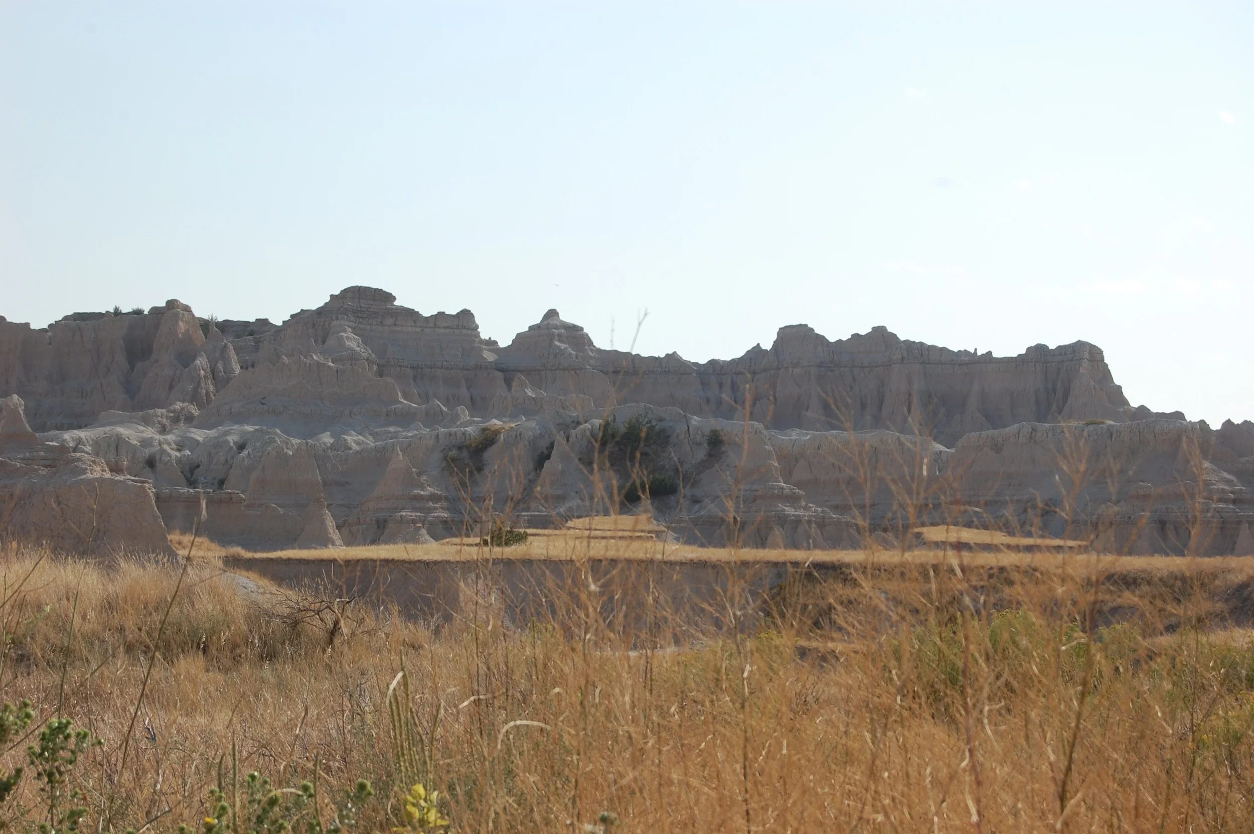 DSC_0894.jpg