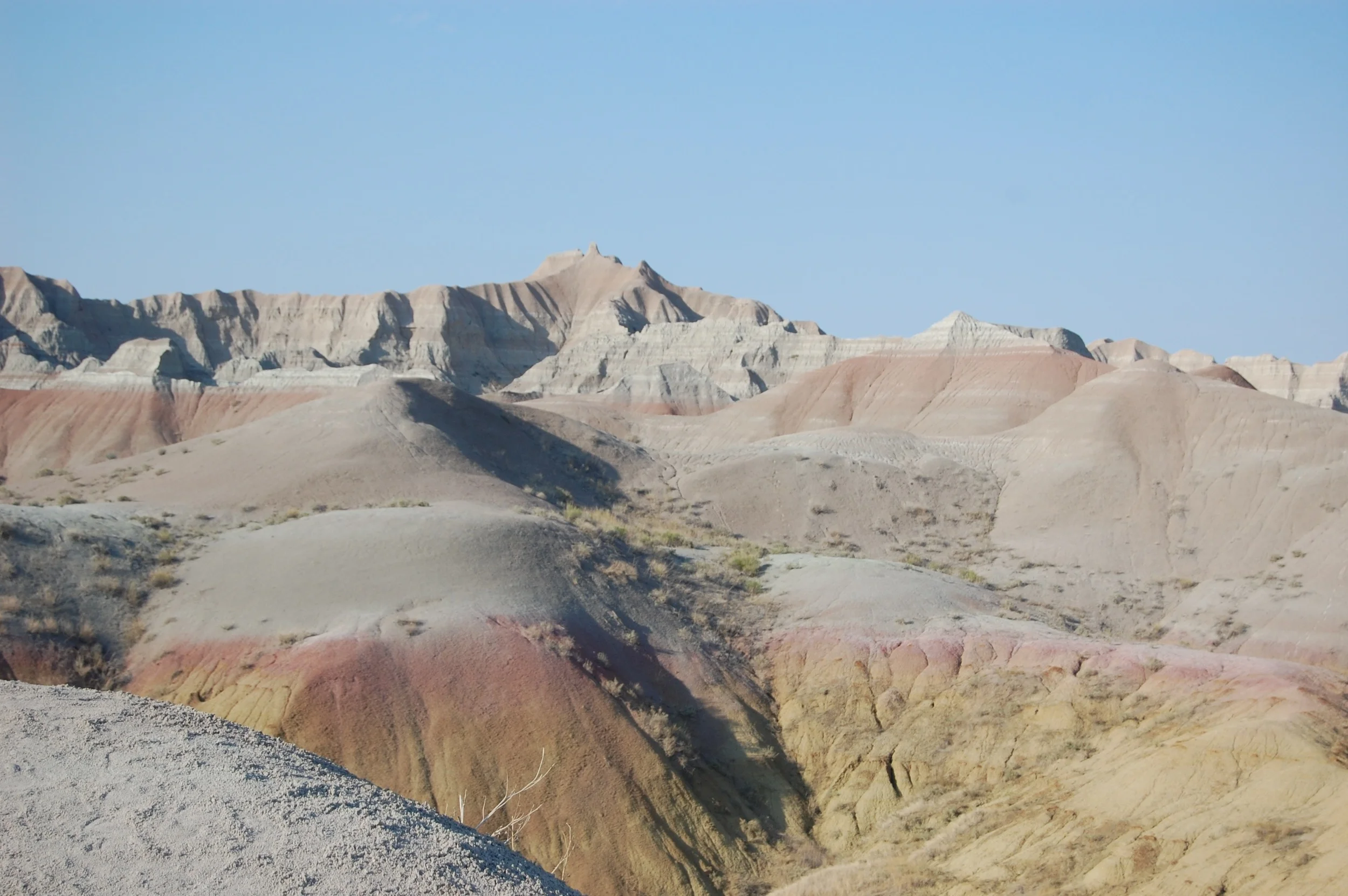 DSC_0902.jpg