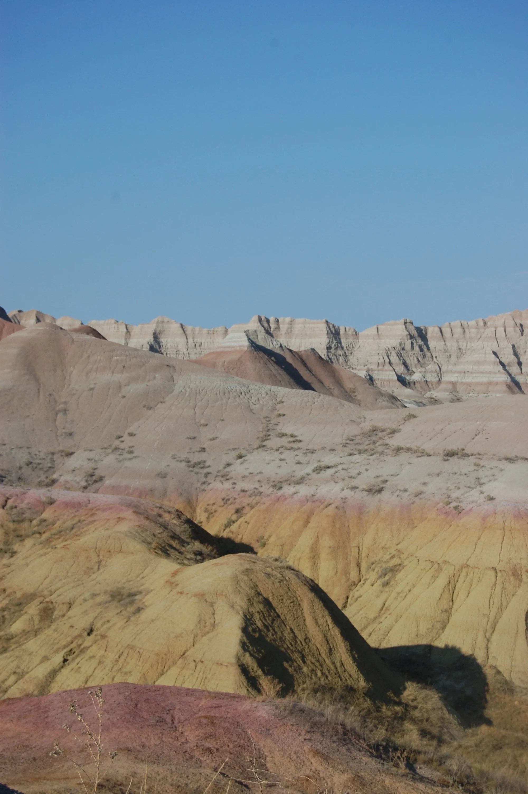 DSC_0903.jpg