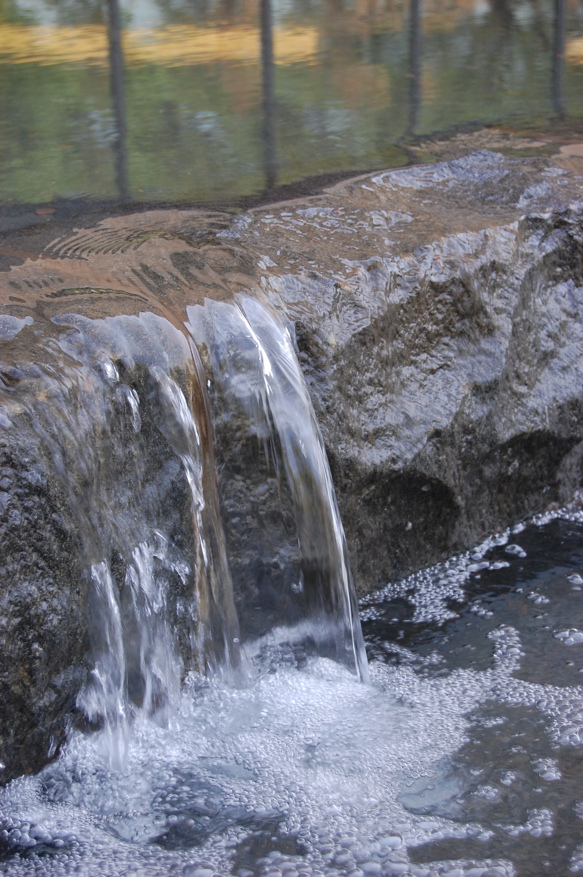 DSC_0058.jpg