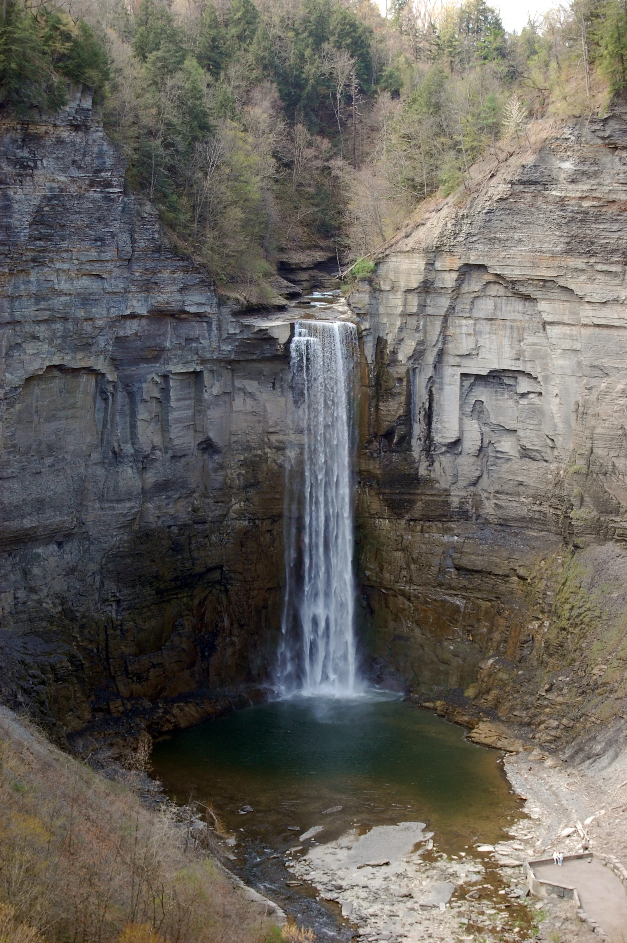 DSC_0201.jpg