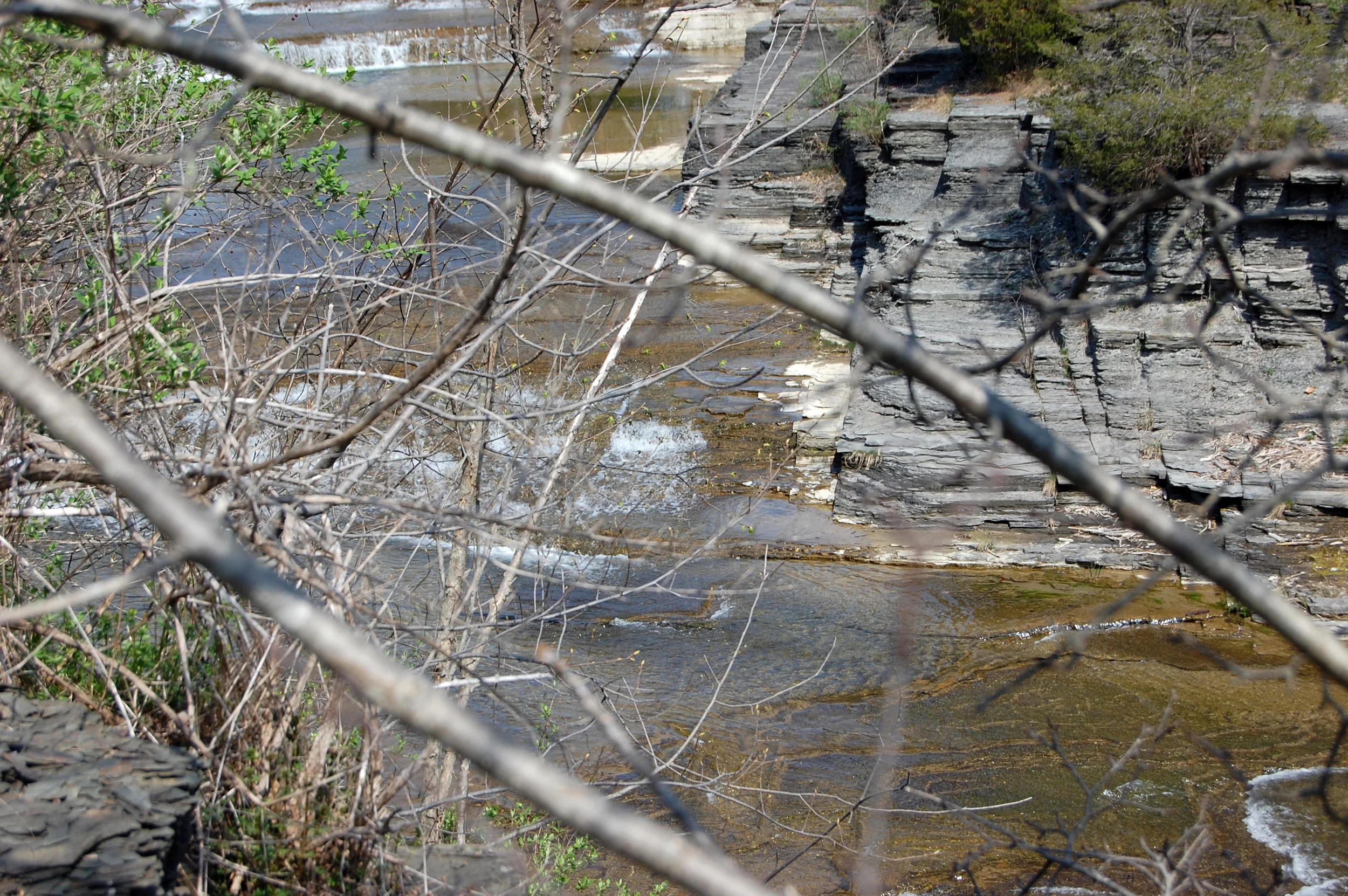DSC_0206.JPG