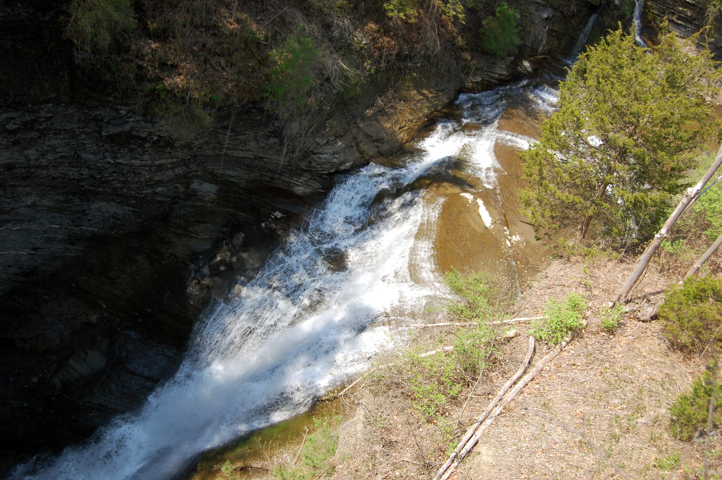 DSC_0236.JPG