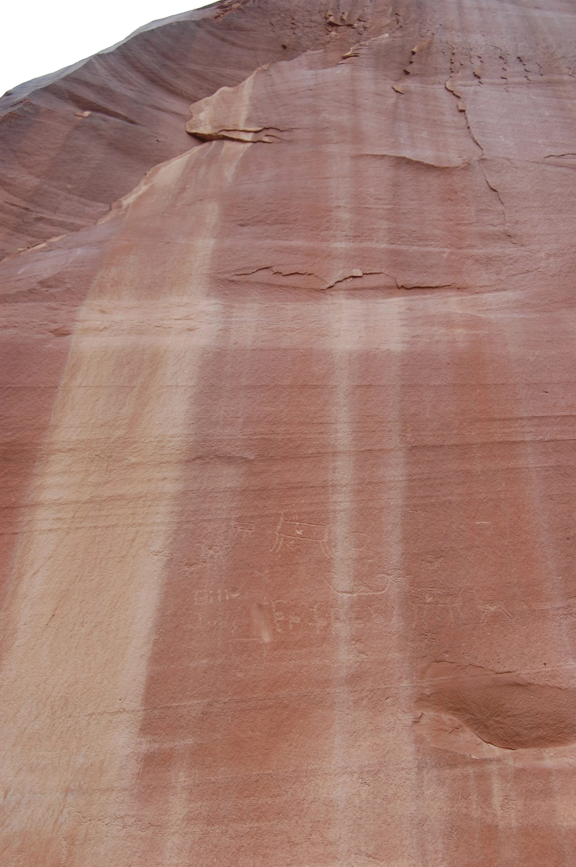 DSC_0025.jpg