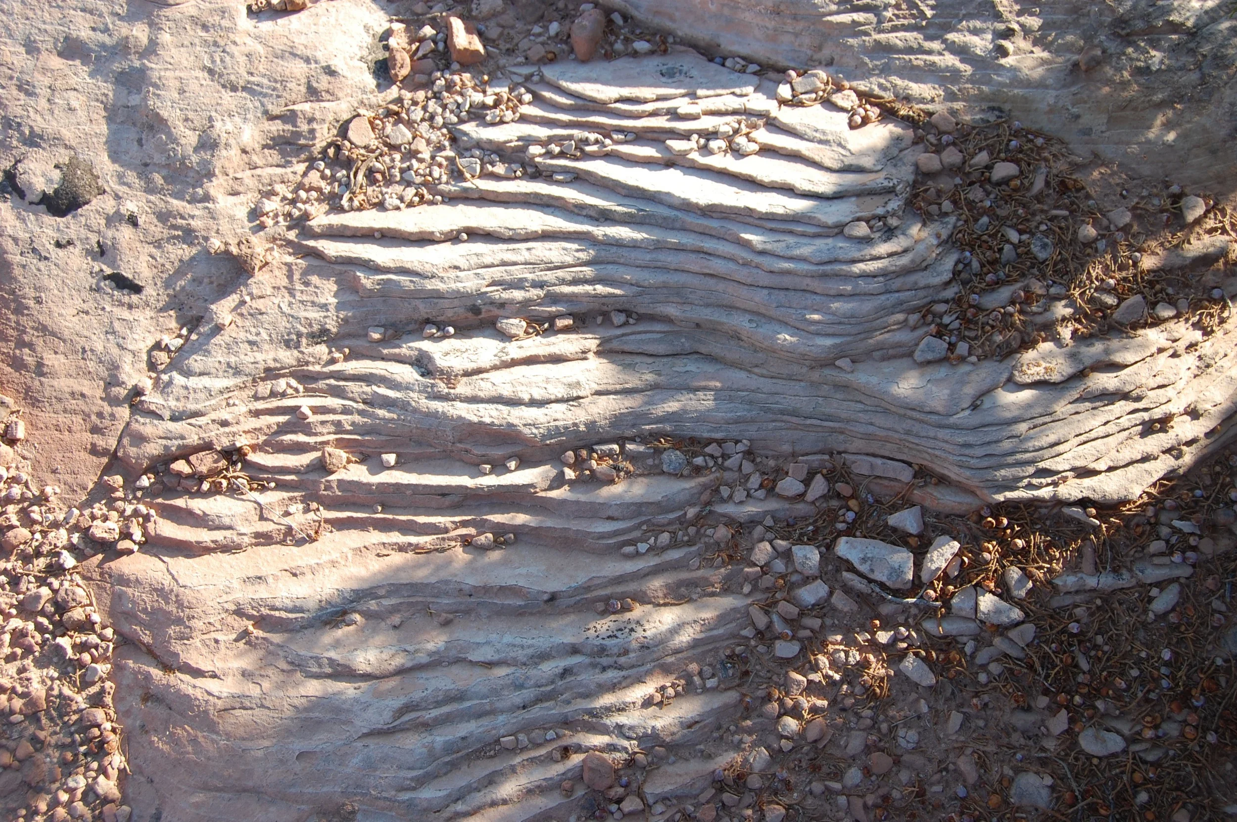 DSC_0677_2.jpg
