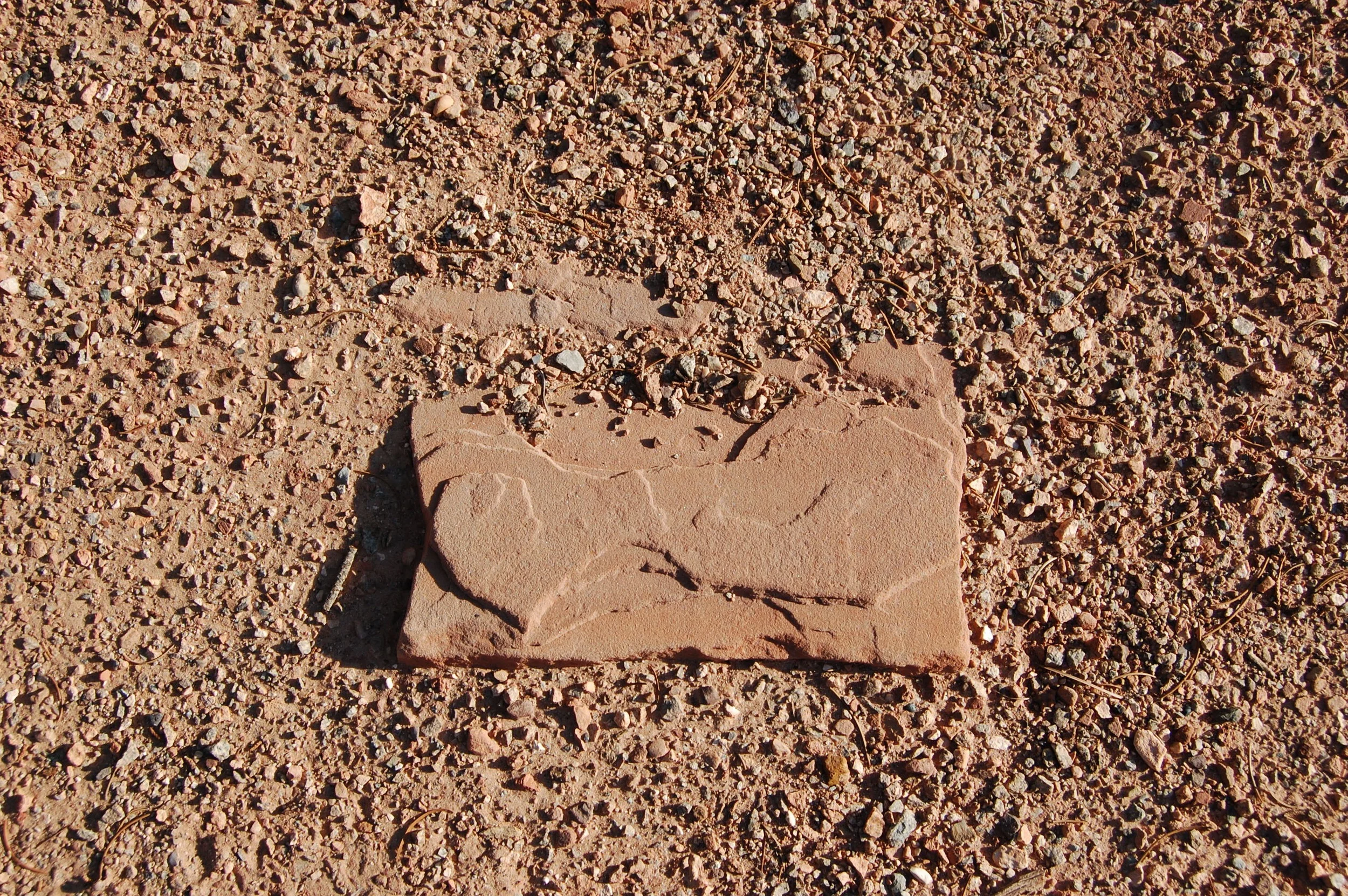DSC_0678_2.jpg