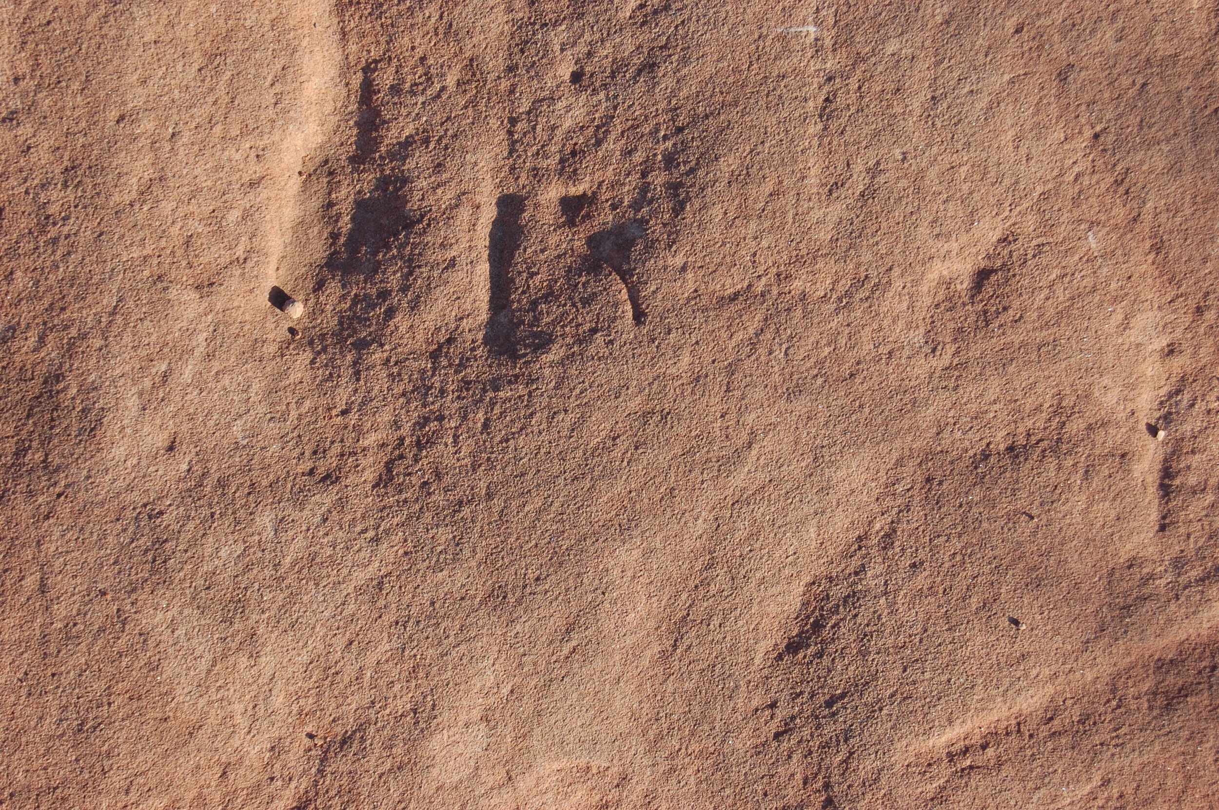 DSC_0713_2.jpg