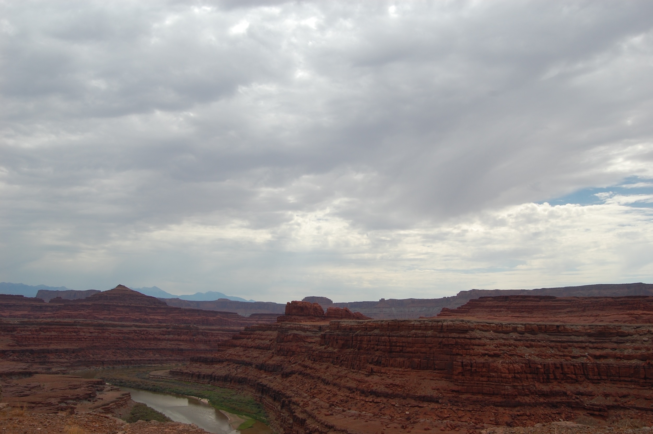 DSC_0252.jpg