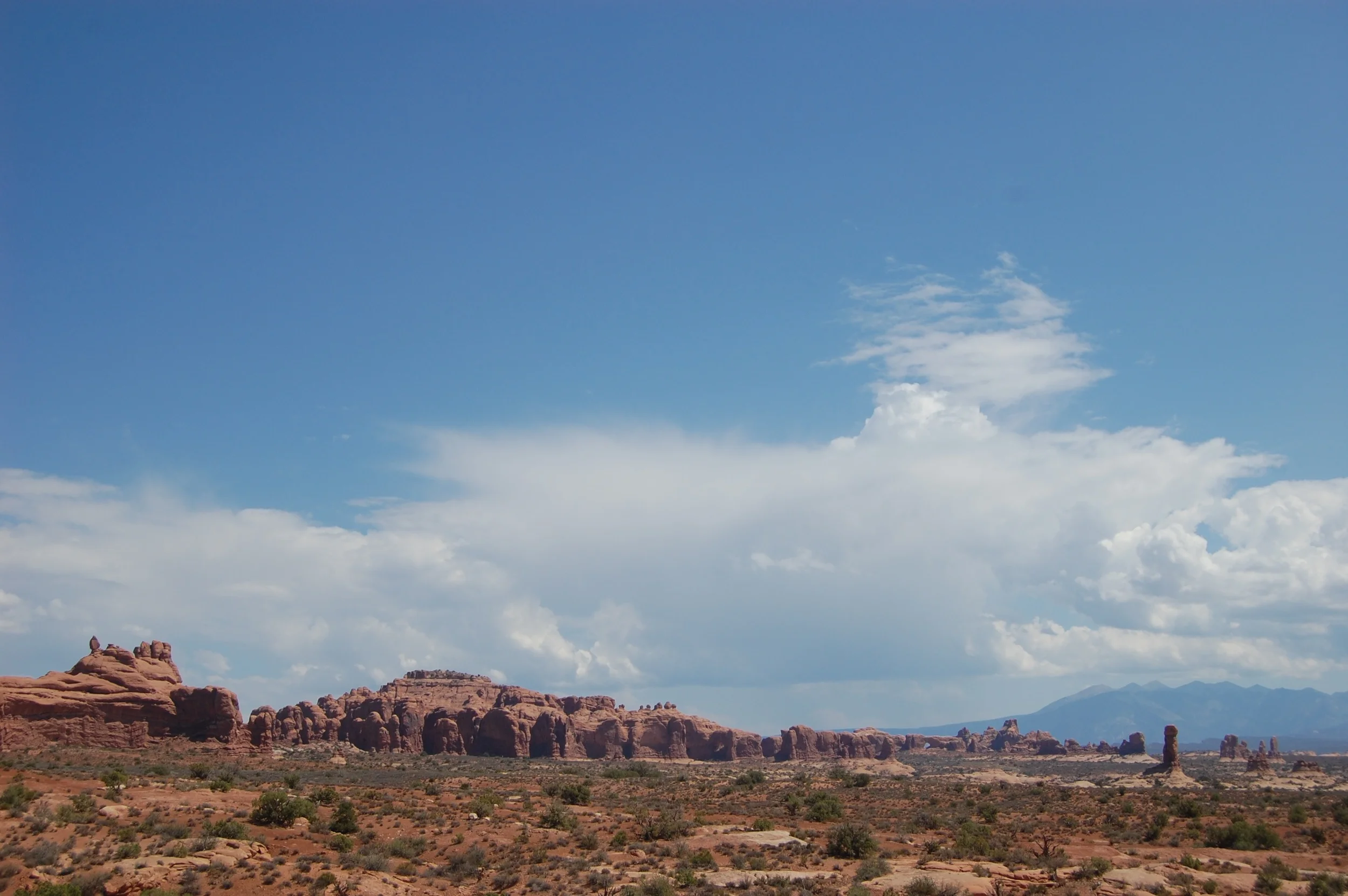 DSC_0499_2.jpg