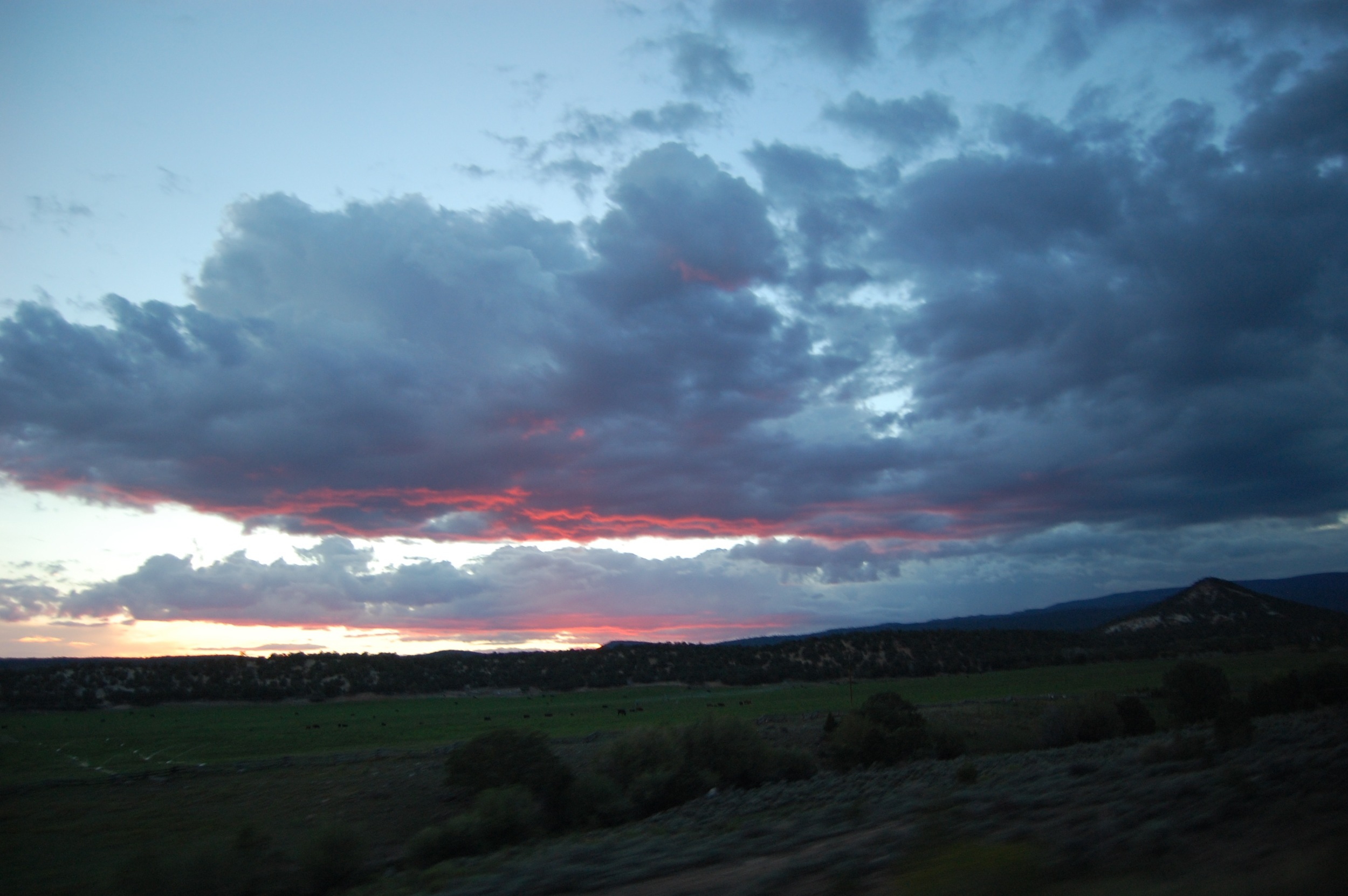 DSC_0595.jpg